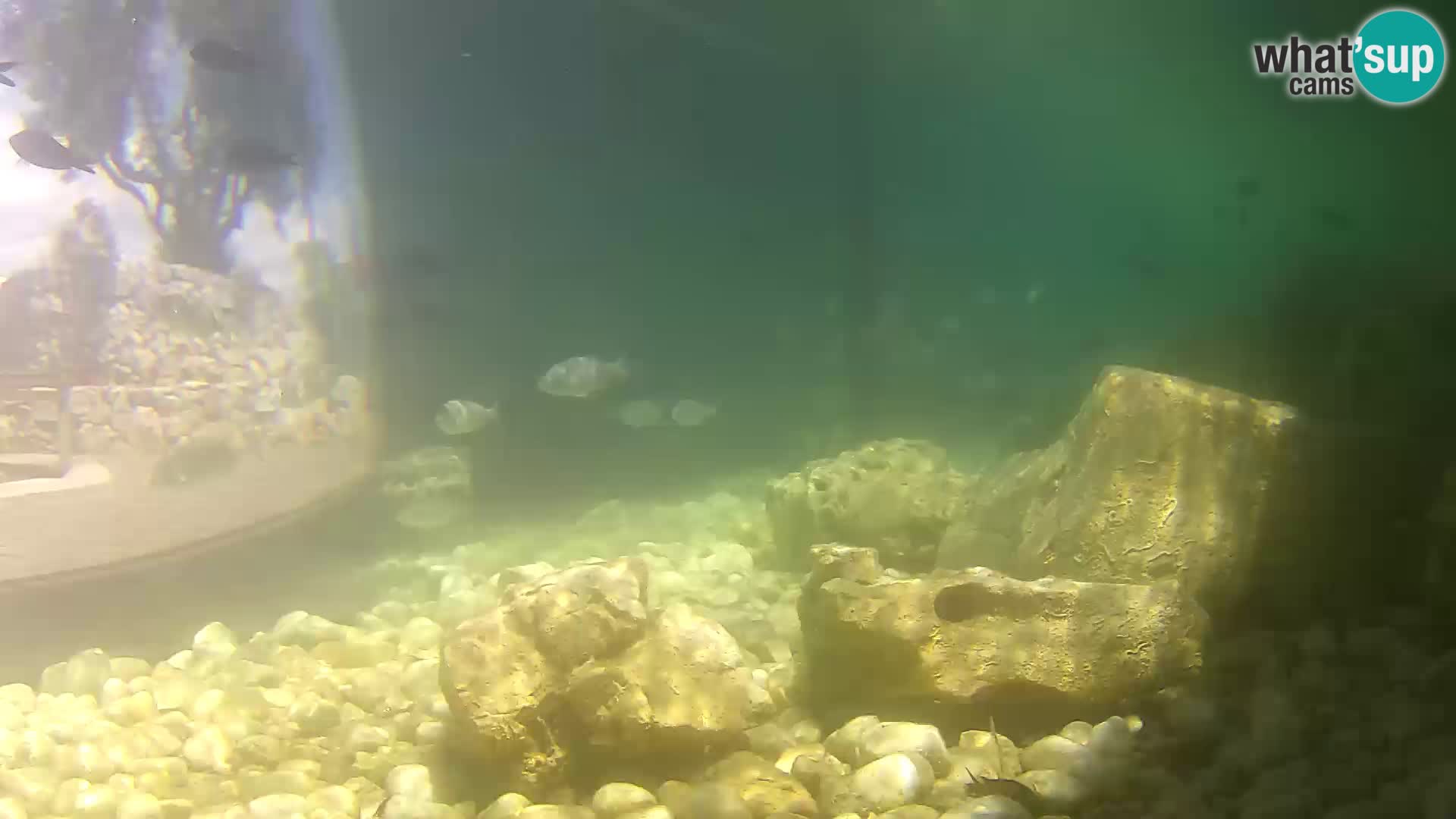 Marine Aquarium im Freien Rogoznica webcam Kroatien