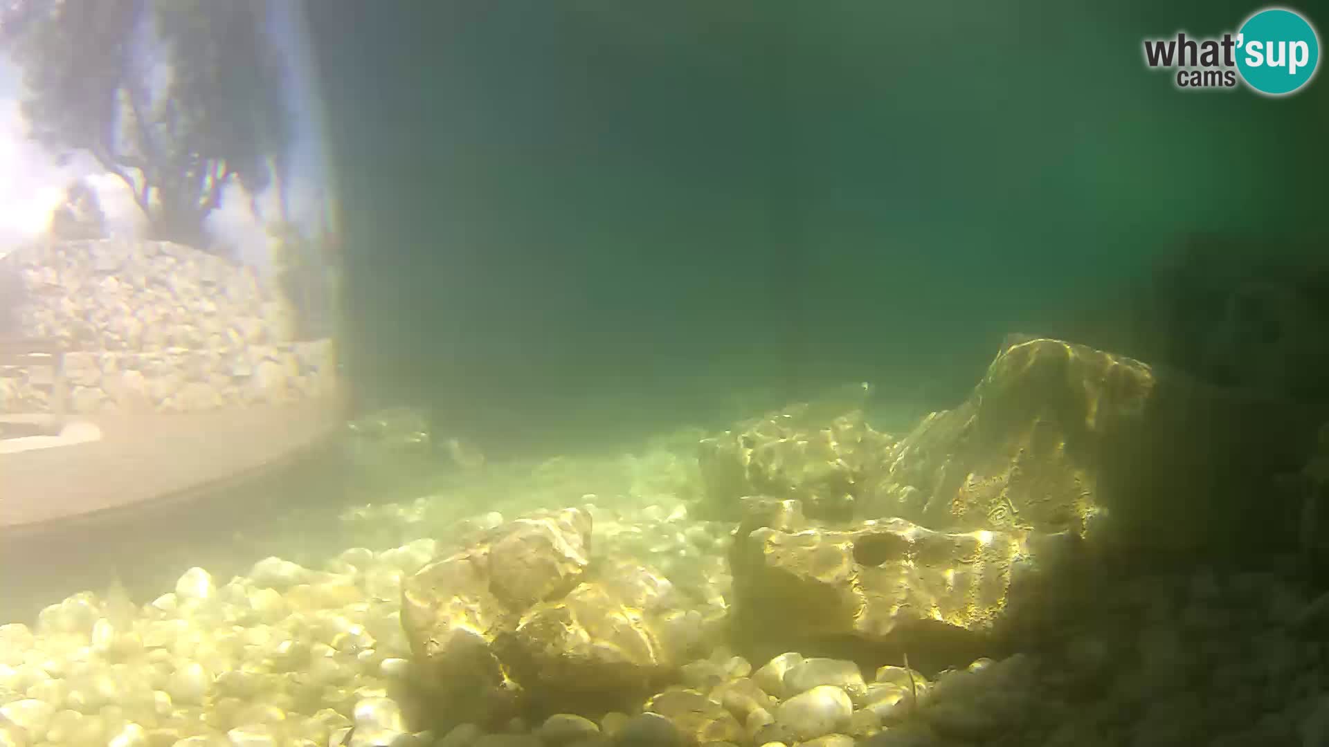 Webcam de l’aquarium marin extérieur de Rogoznica Croatie