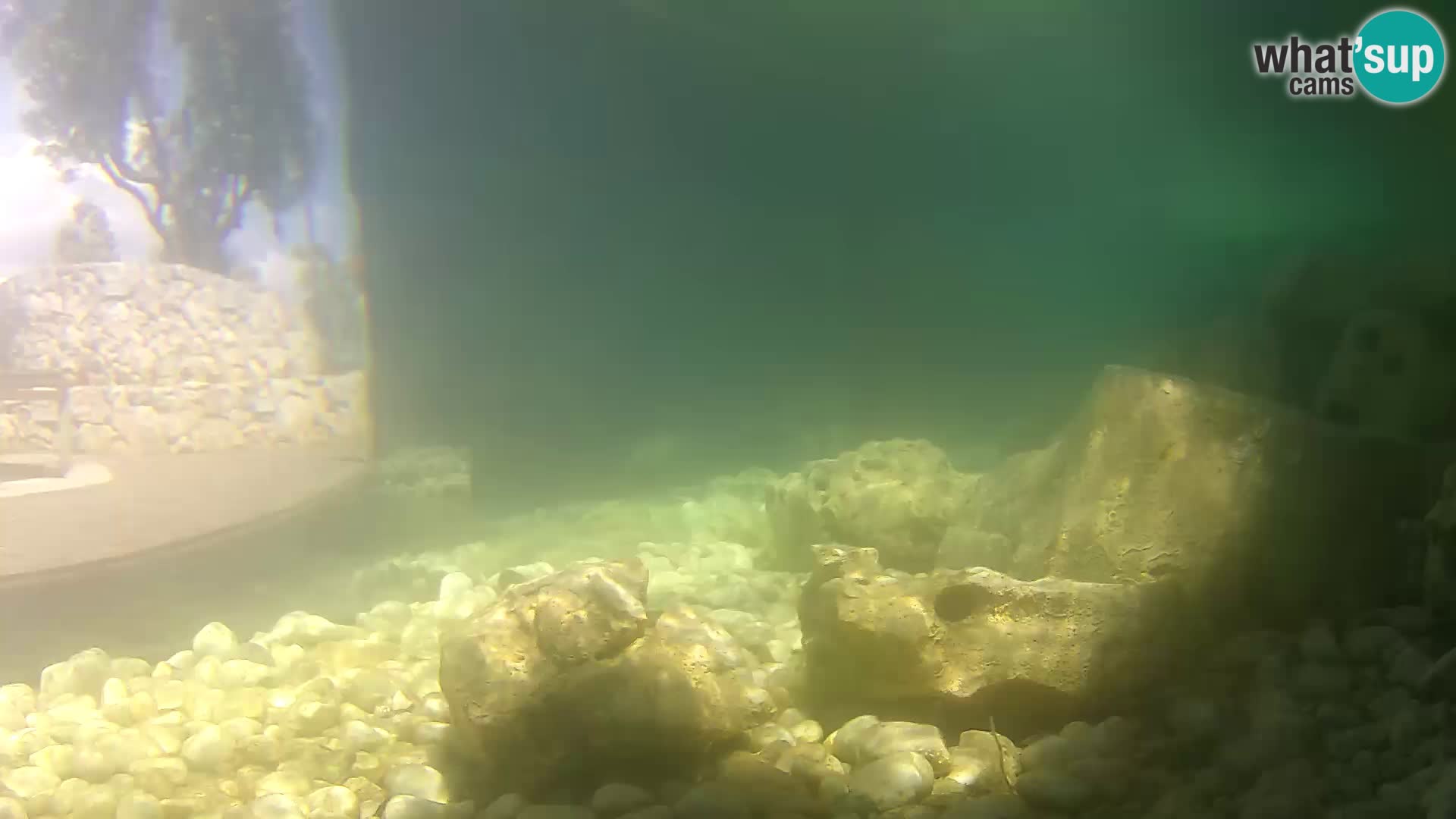Webcam de l’aquarium marin extérieur de Rogoznica Croatie