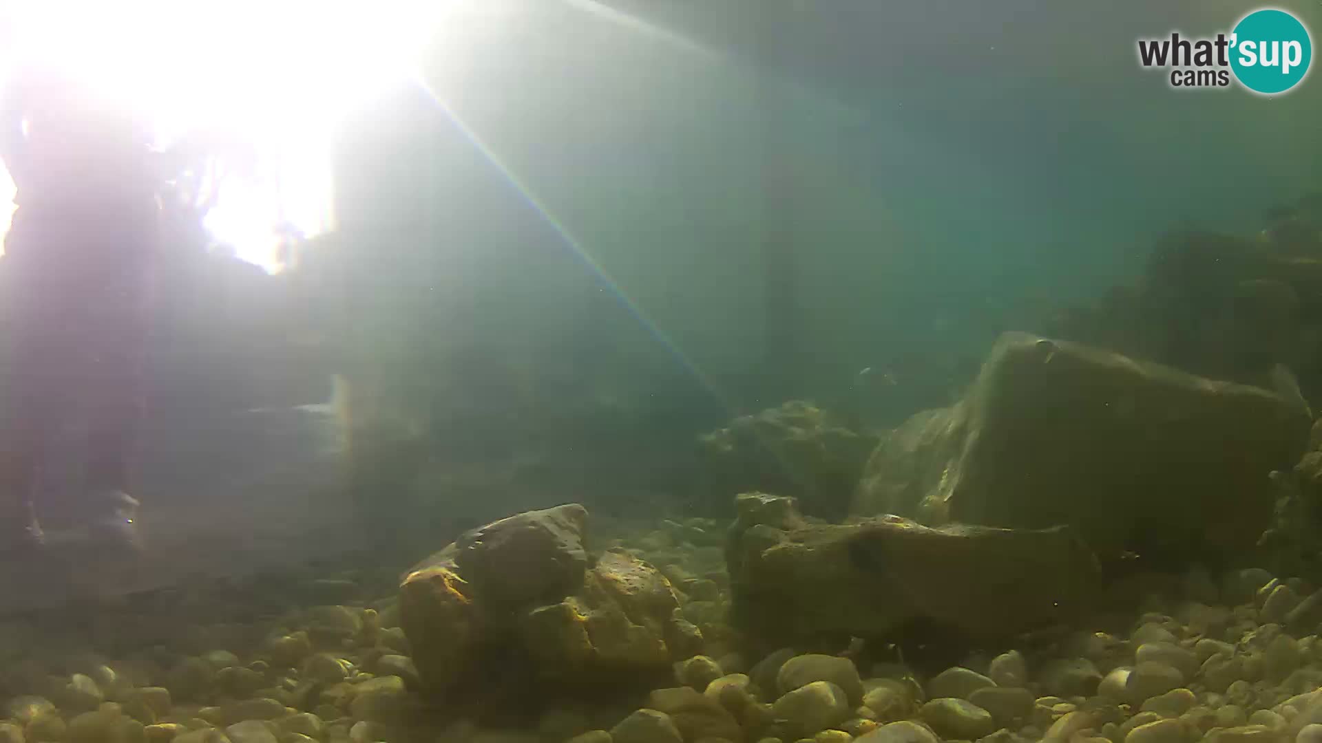 Acuario marino al aire libre Rogoznica webcam Croacia