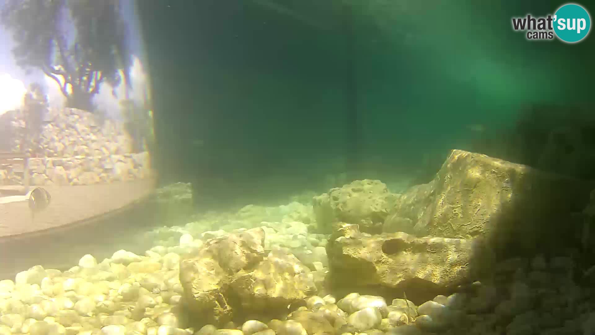 Outdoor Marine Aquarium Rogoznica webcam Croatia