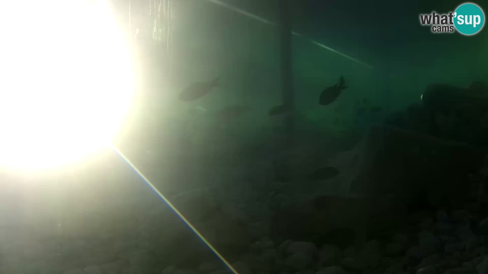Outdoor Marine Aquarium Rogoznica webcam Croatia