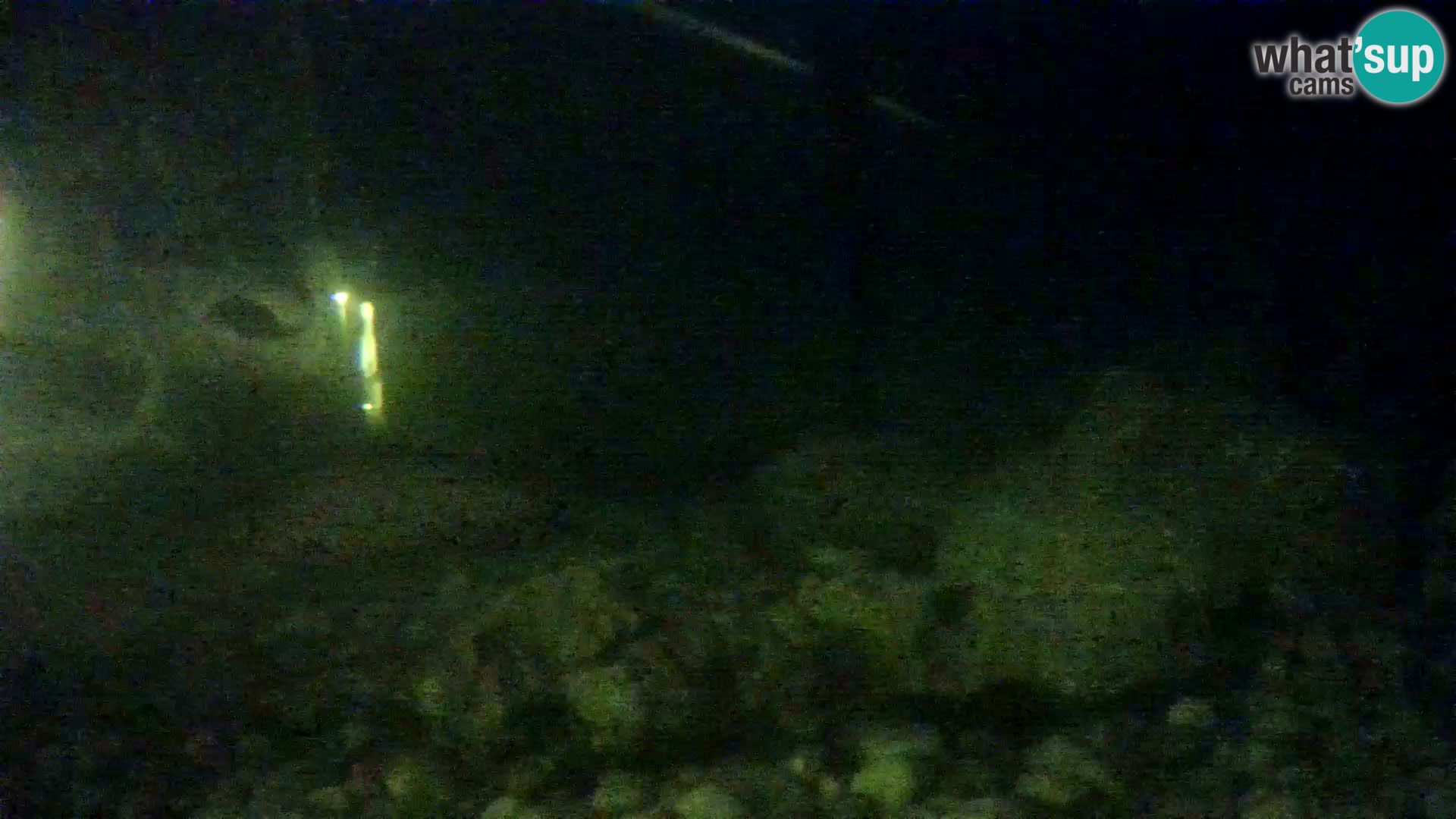 Outdoor Marine Aquarium Rogoznica webcam Croatia