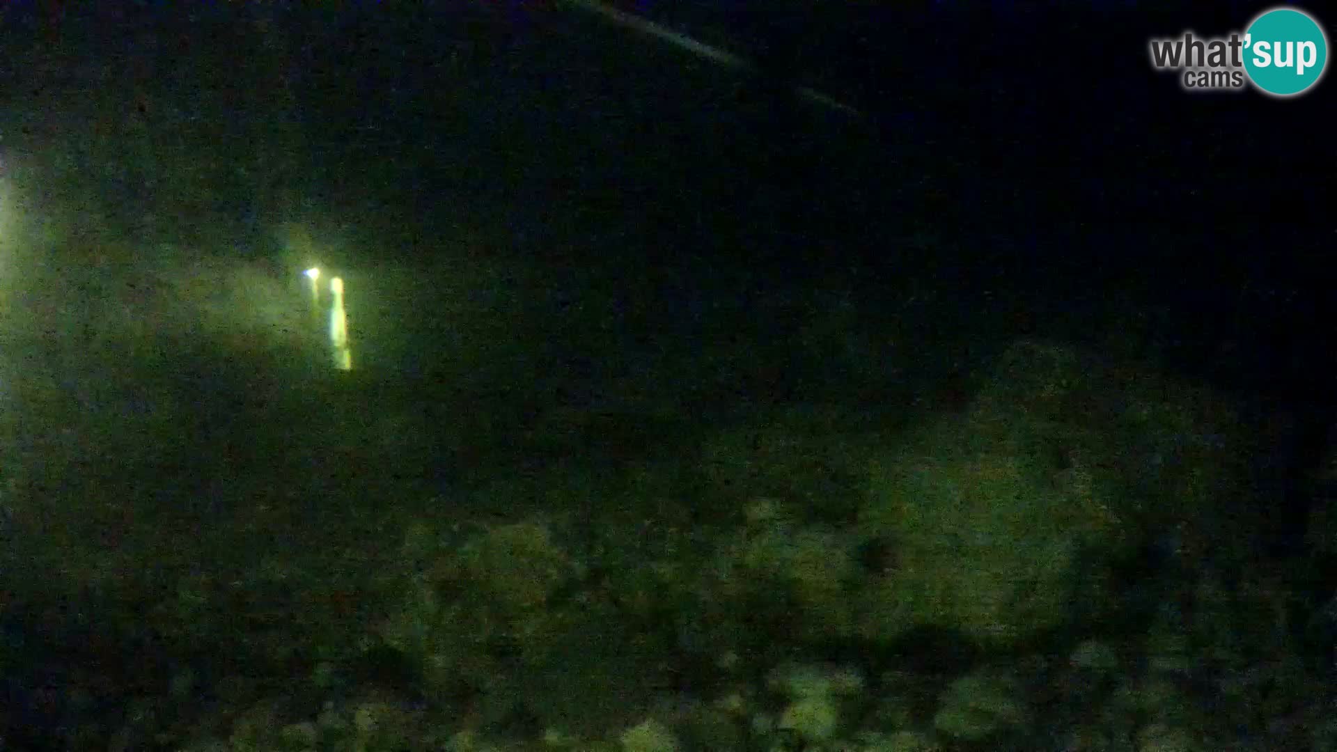 Zunanji morski akvarij Rogoznica spletna kamera Hrvaška