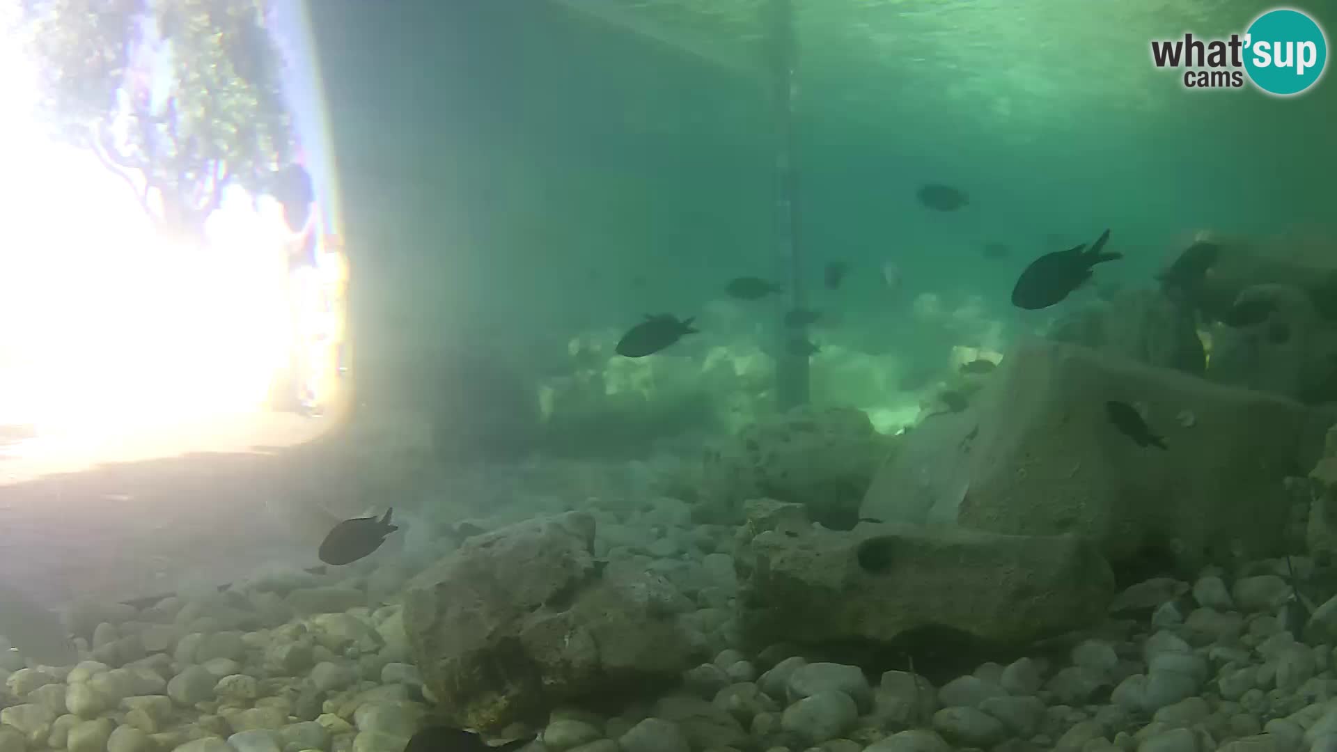 Marine Aquarium im Freien Rogoznica webcam Kroatien