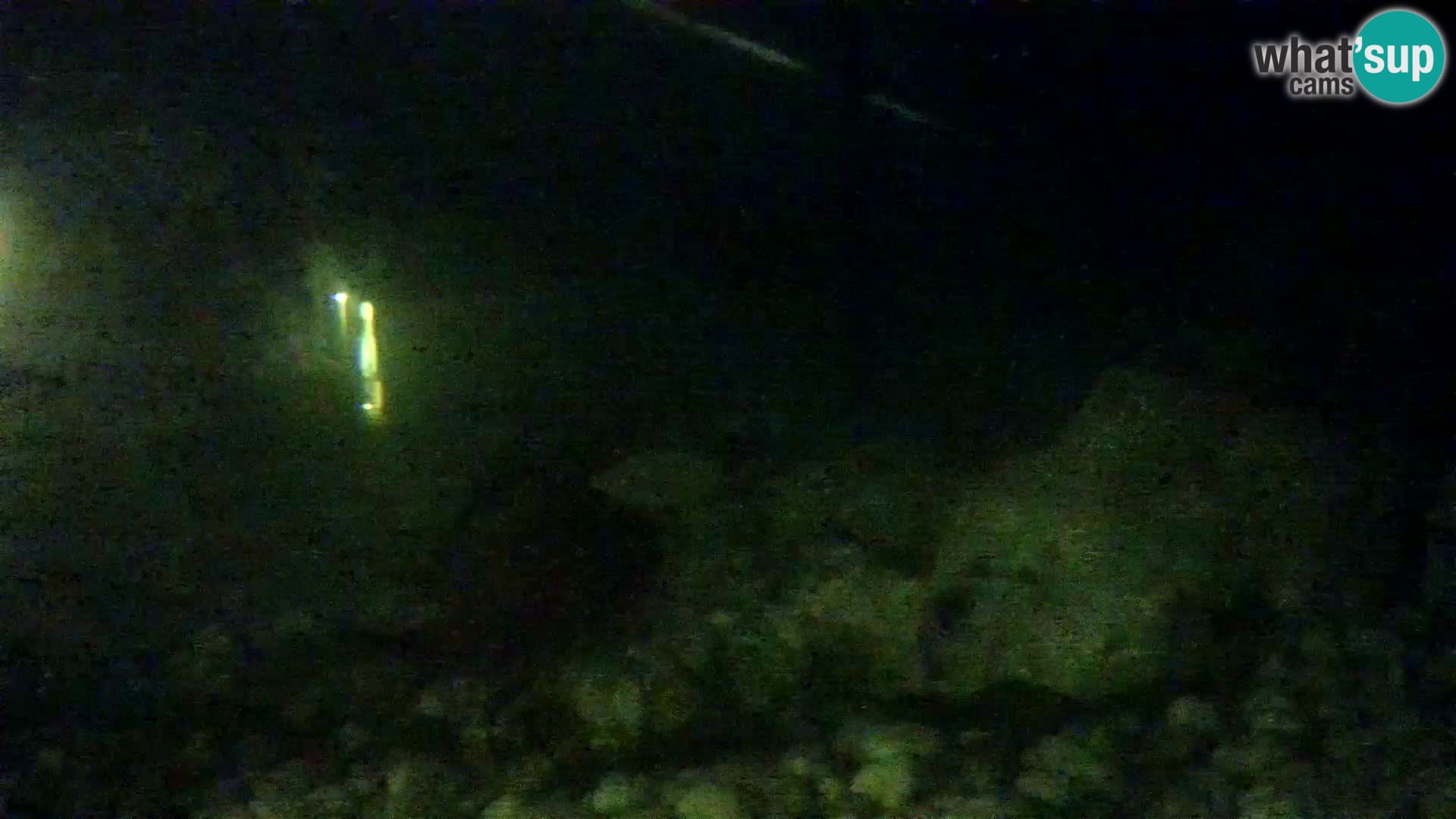Outdoor Marine Aquarium Rogoznica webcam Croatia