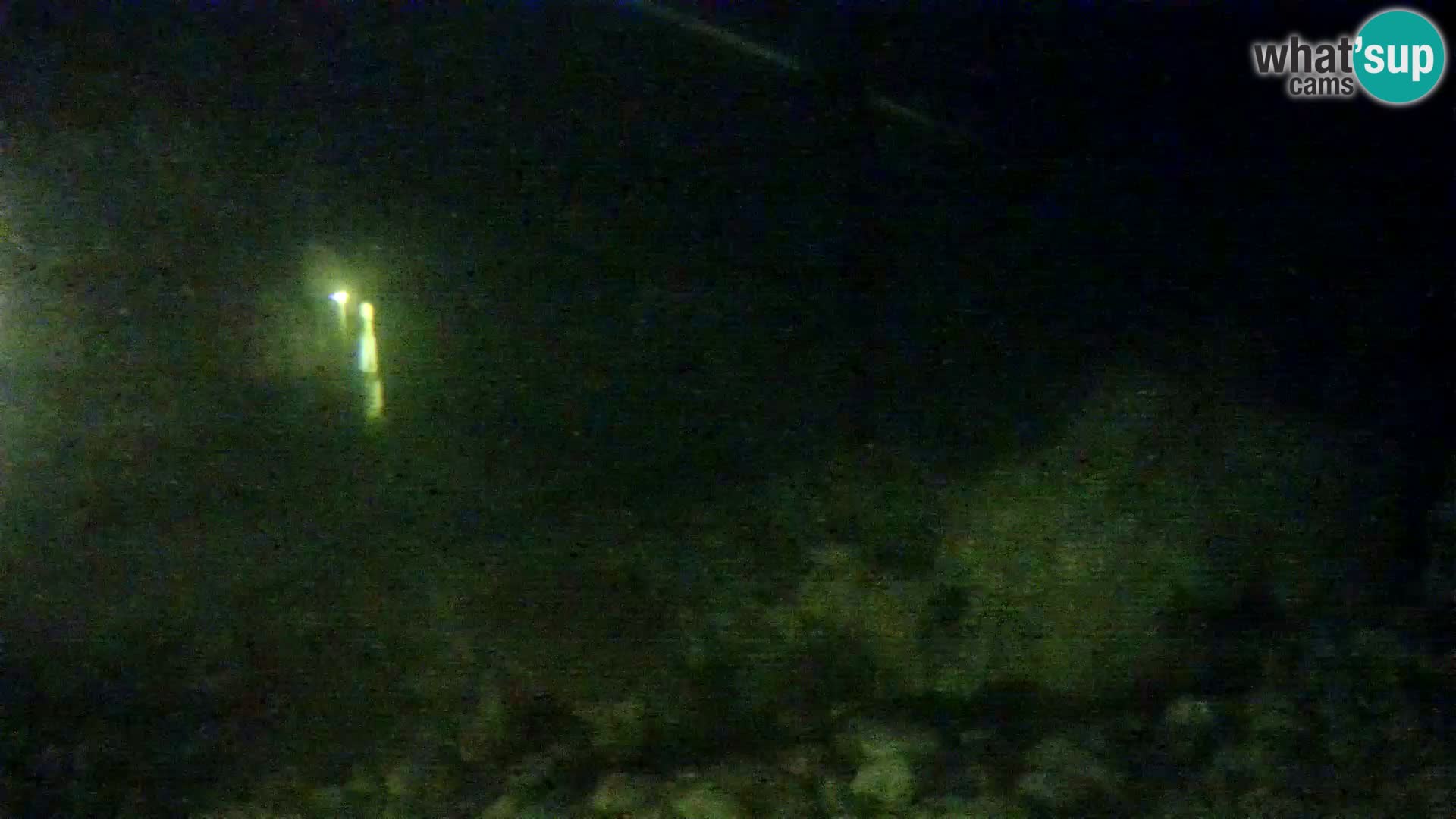 Aquario marino esterno –  Rogoznica livecam Croazia