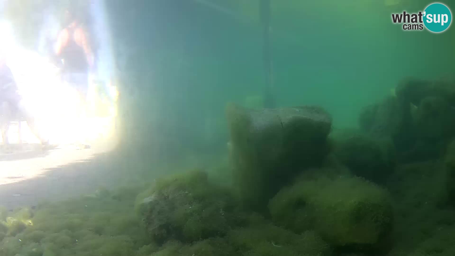 Aquario marino esterno –  Rogoznica livecam Croazia
