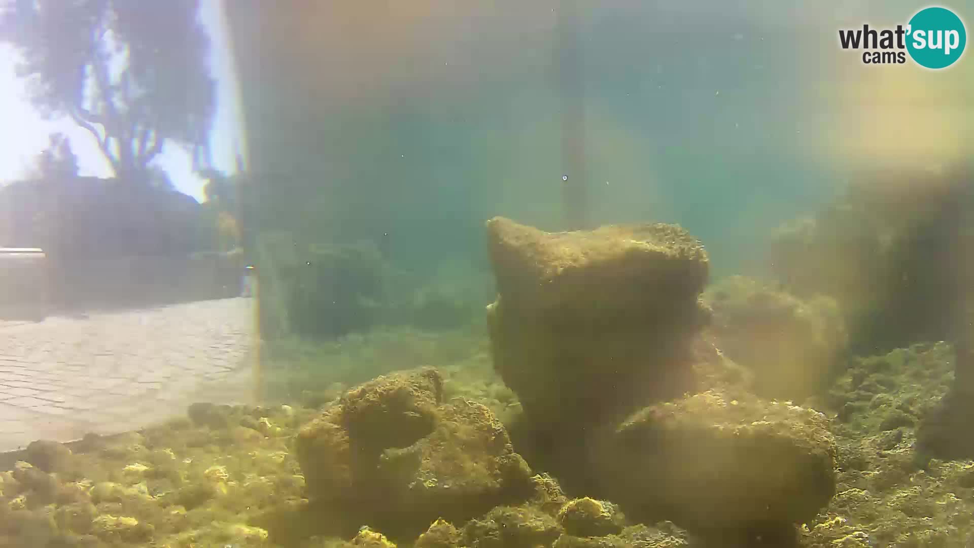 Outdoor Marine Aquarium Rogoznica webcam Croatia