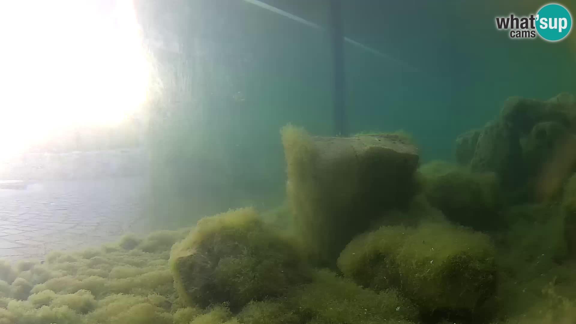 Outdoor Marine Aquarium Rogoznica webcam Croatia