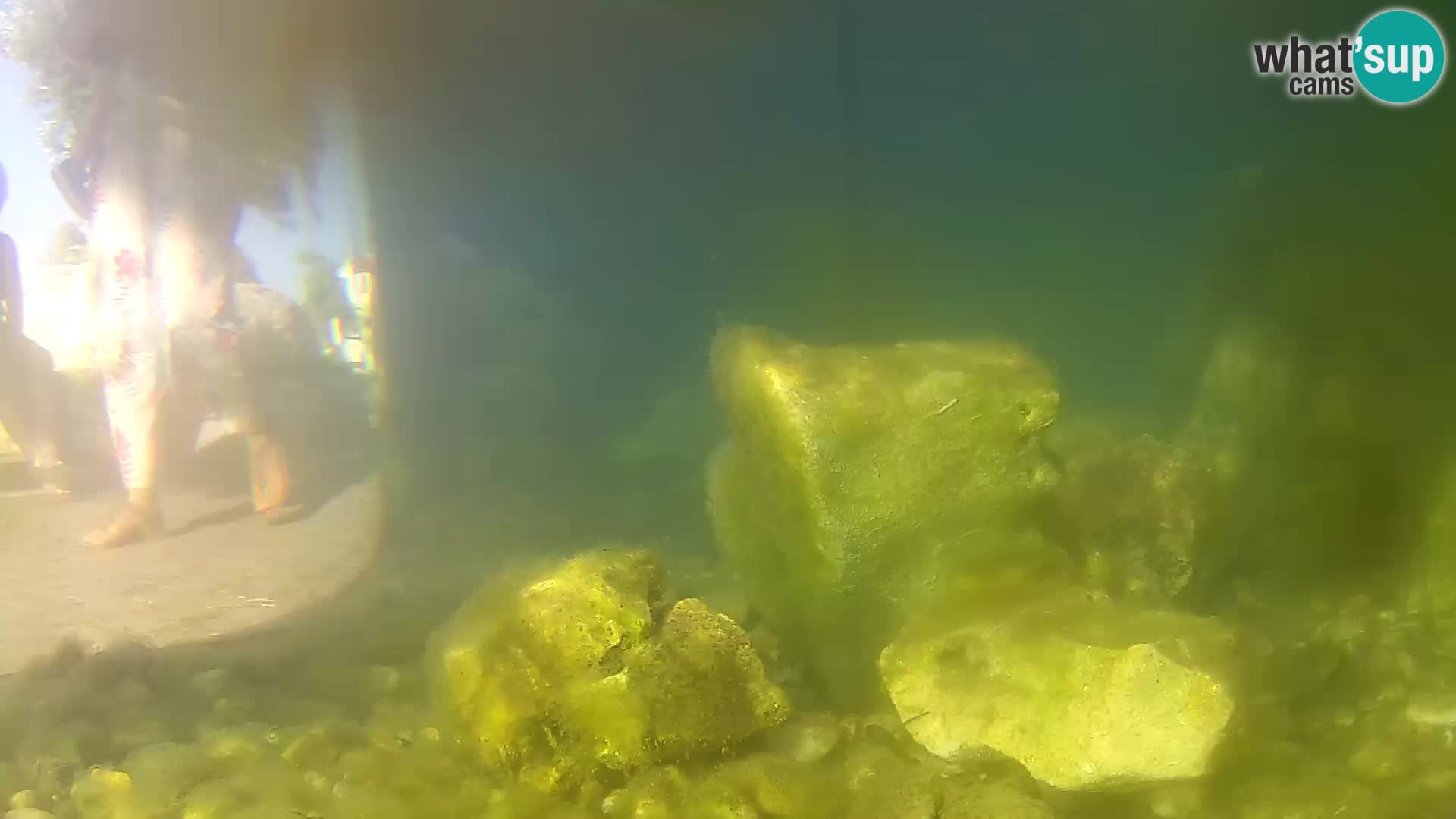 Vanjski morski akvarij Rogoznica web kamera Hrvatska