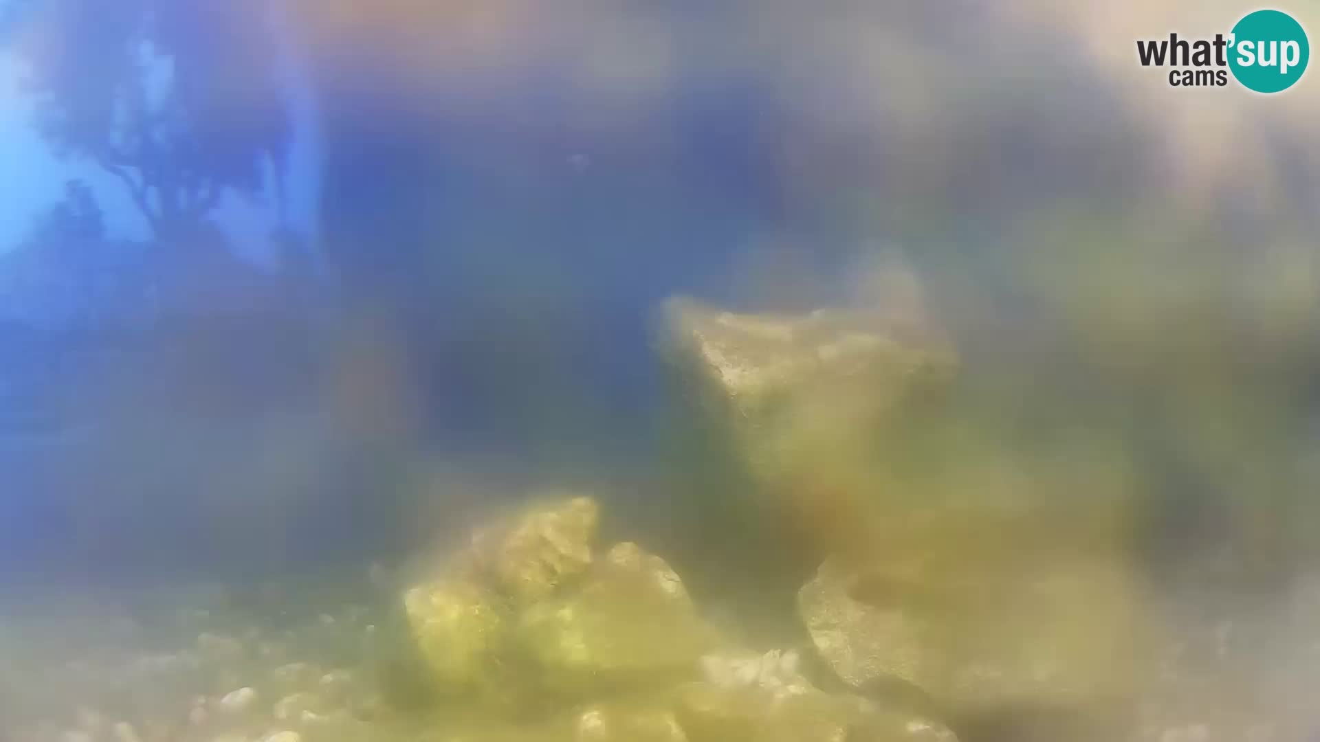 Unterwasserkamera Brijuni – Čamčarnica