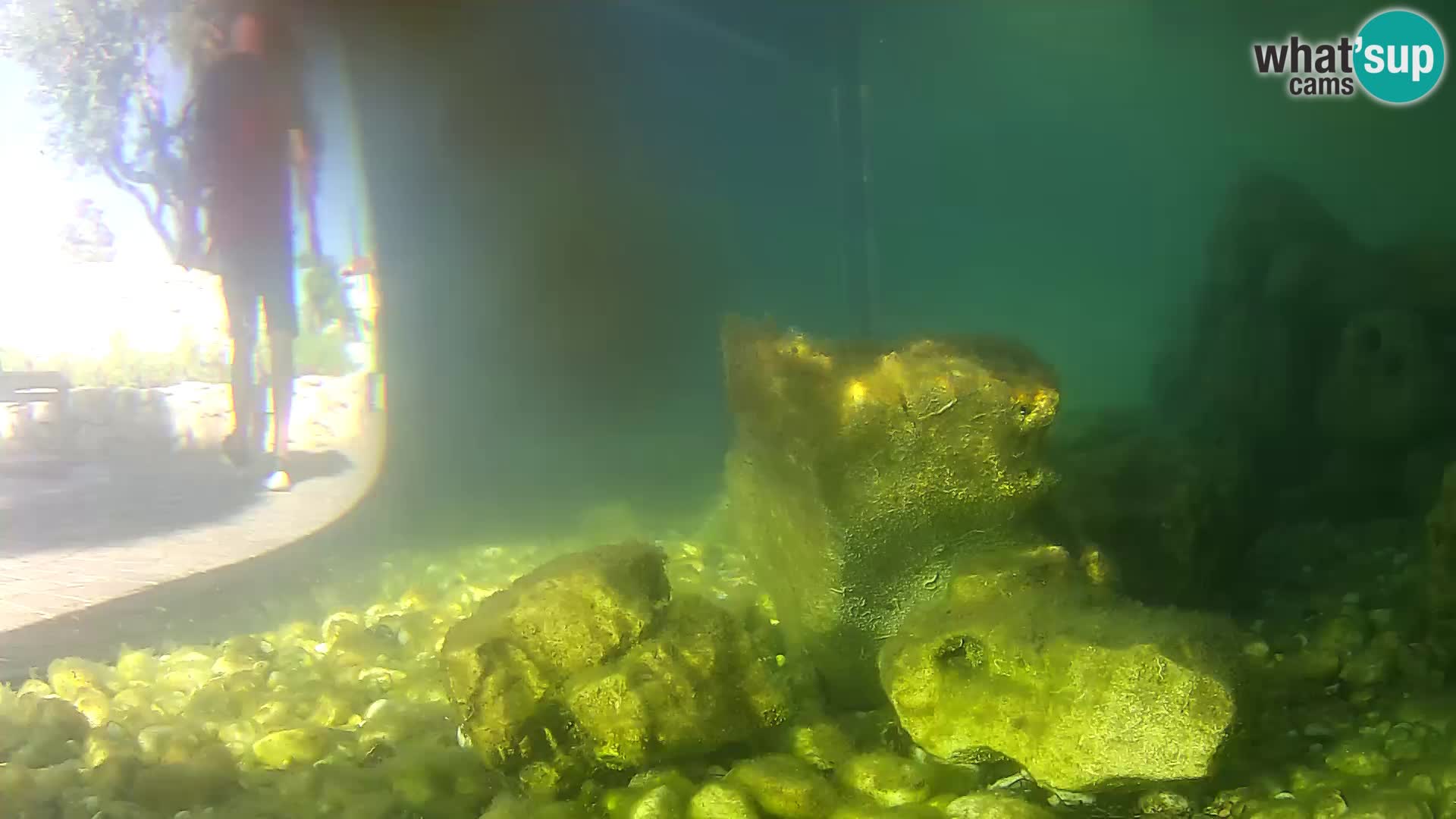 Marine Aquarium im Freien Rogoznica webcam Kroatien