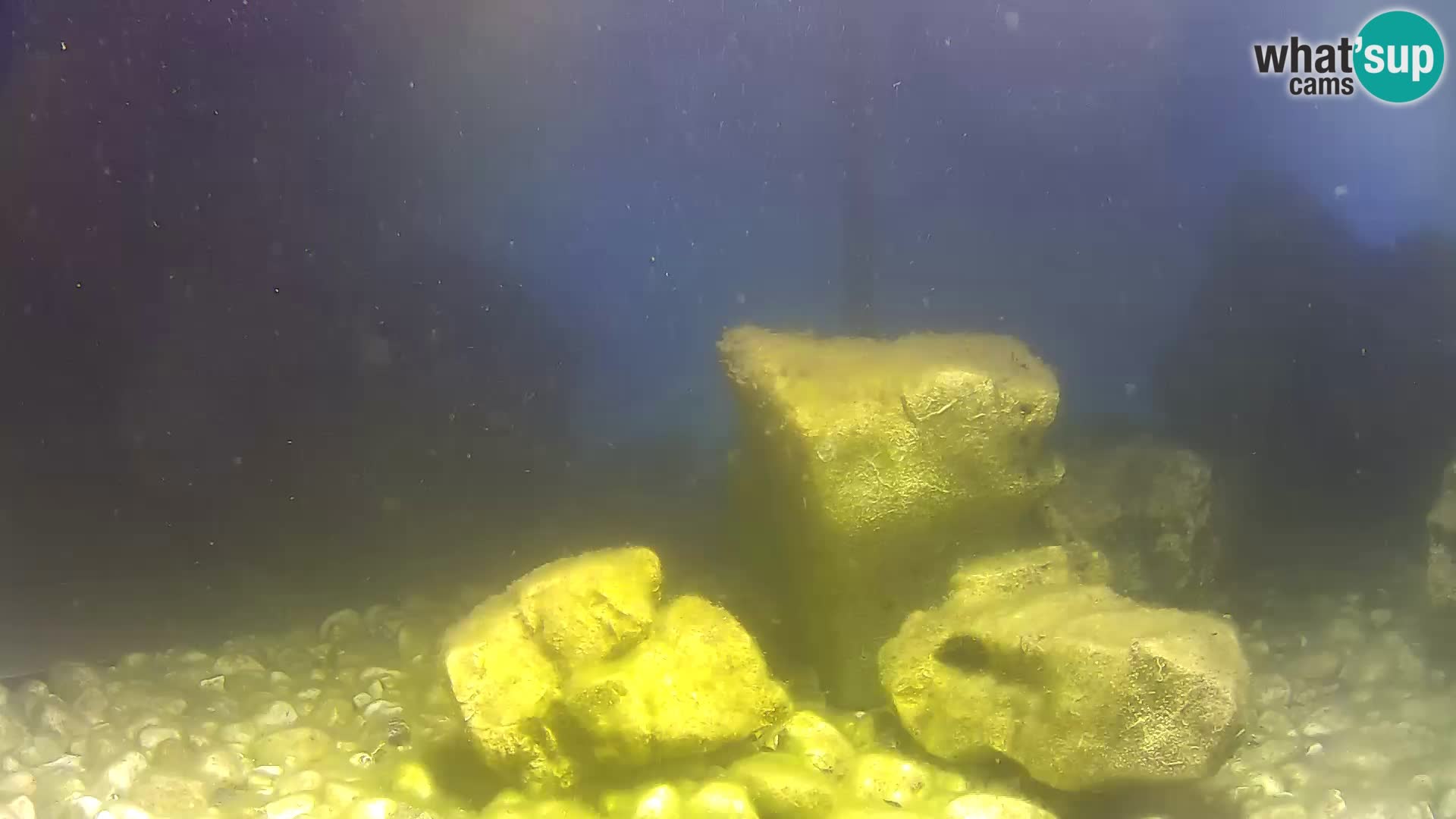 Unterwasserkamera Brijuni – Čamčarnica