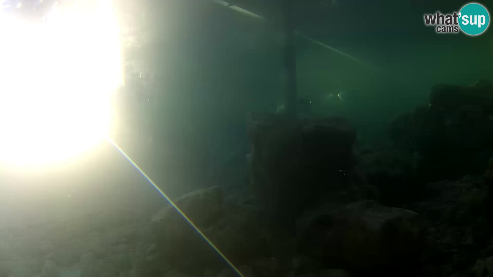 Aquario marino esterno –  Rogoznica livecam Croazia