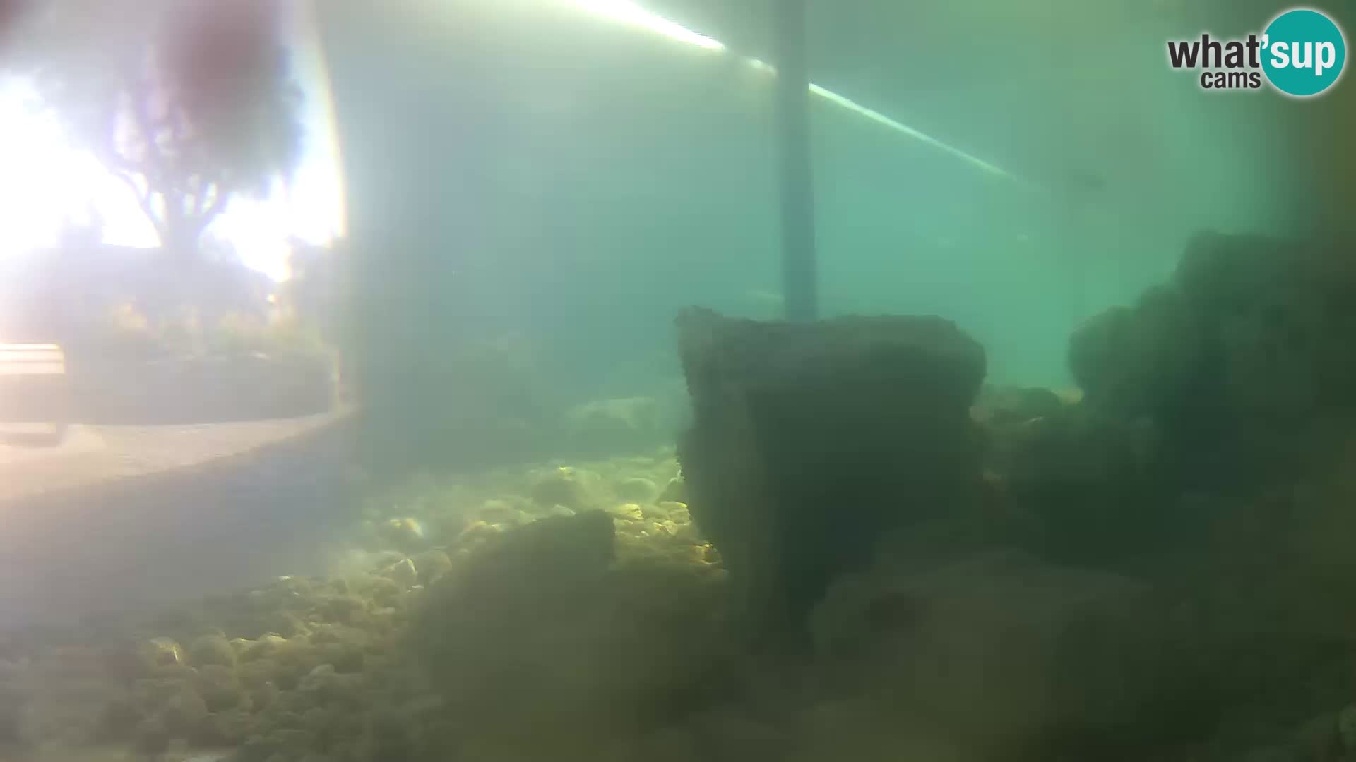 Outdoor Marine Aquarium Rogoznica webcam Croatia