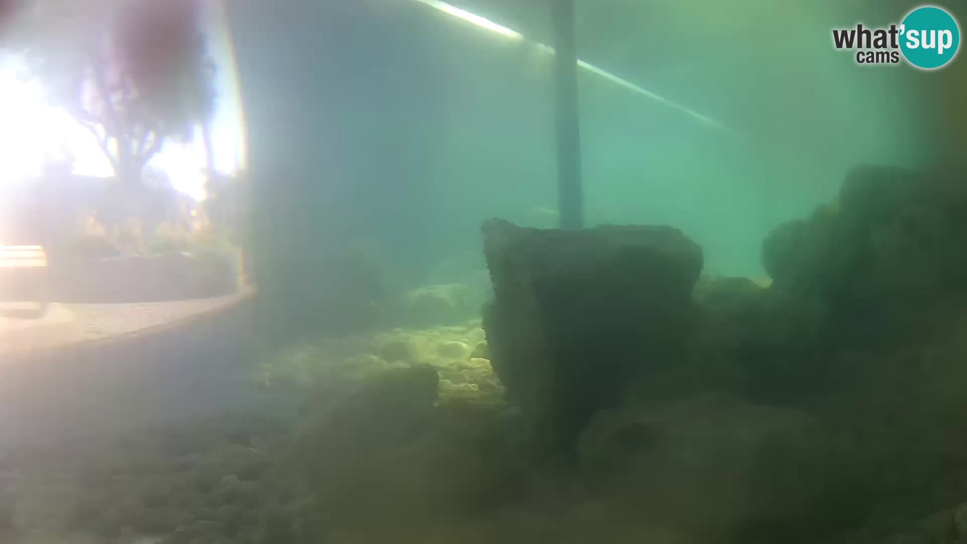 Acuario marino al aire libre Rogoznica webcam Croacia