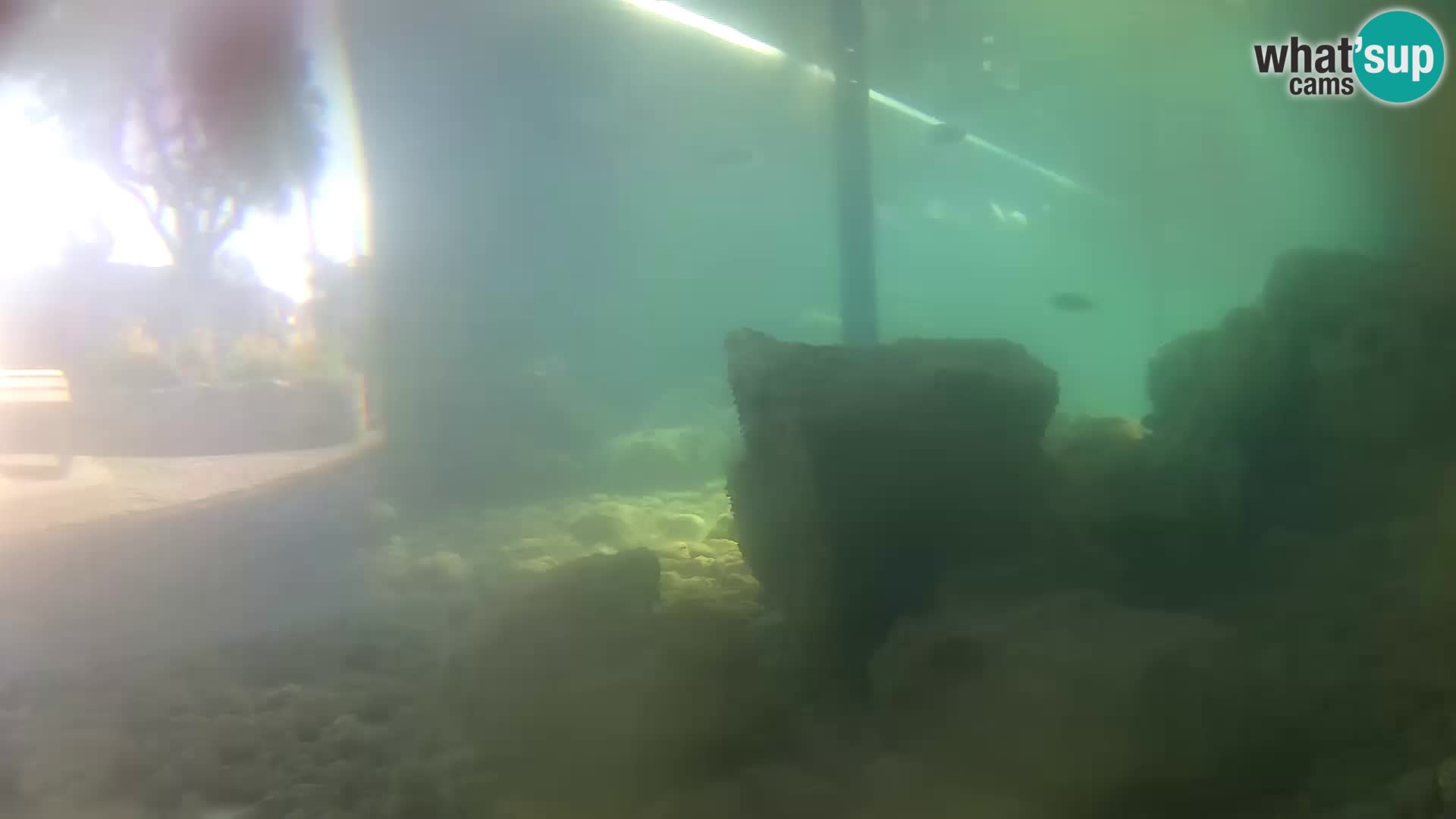 Webcam de l’aquarium marin extérieur de Rogoznica Croatie