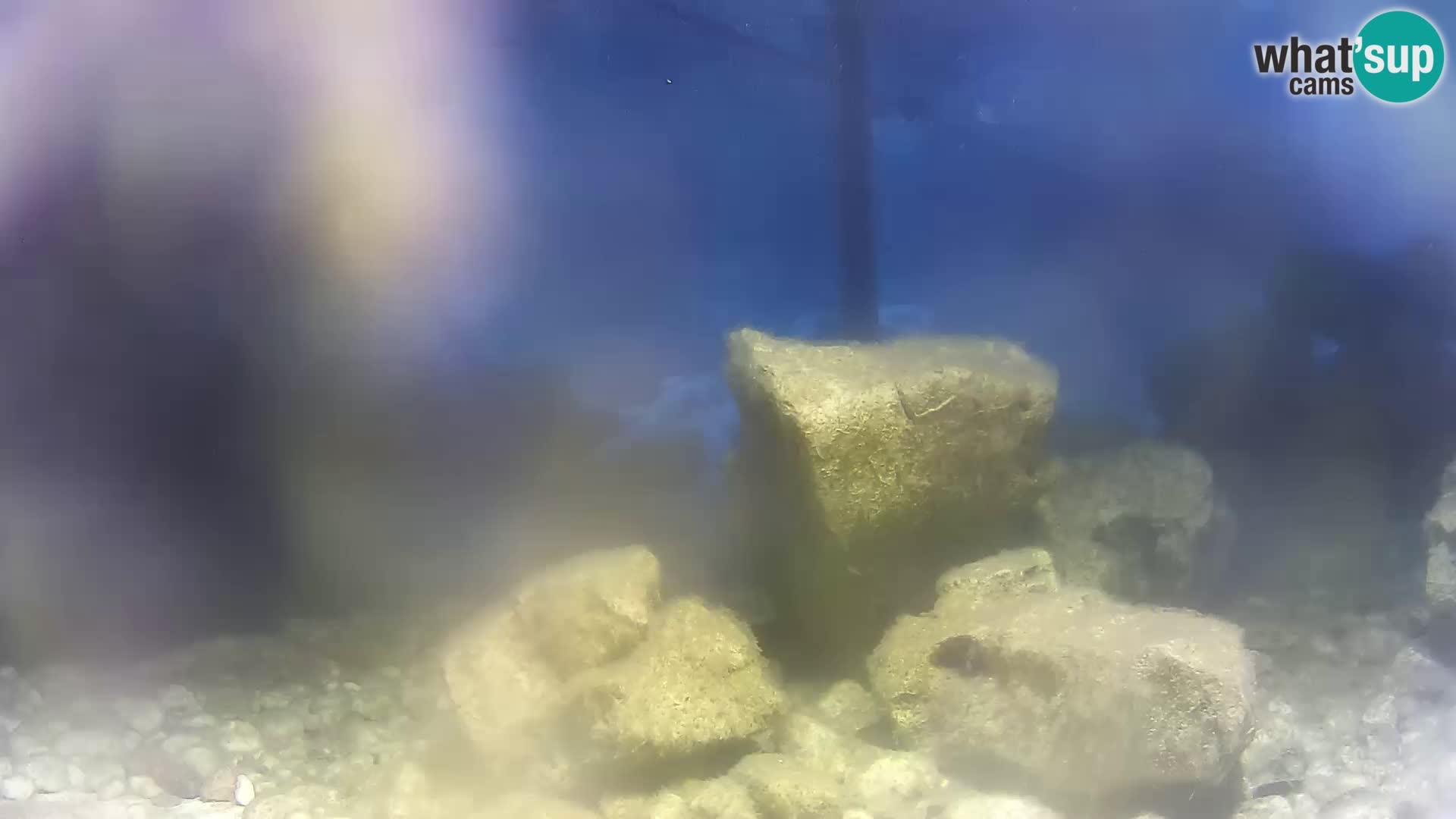 Outdoor Marine Aquarium Rogoznica webcam Croatia