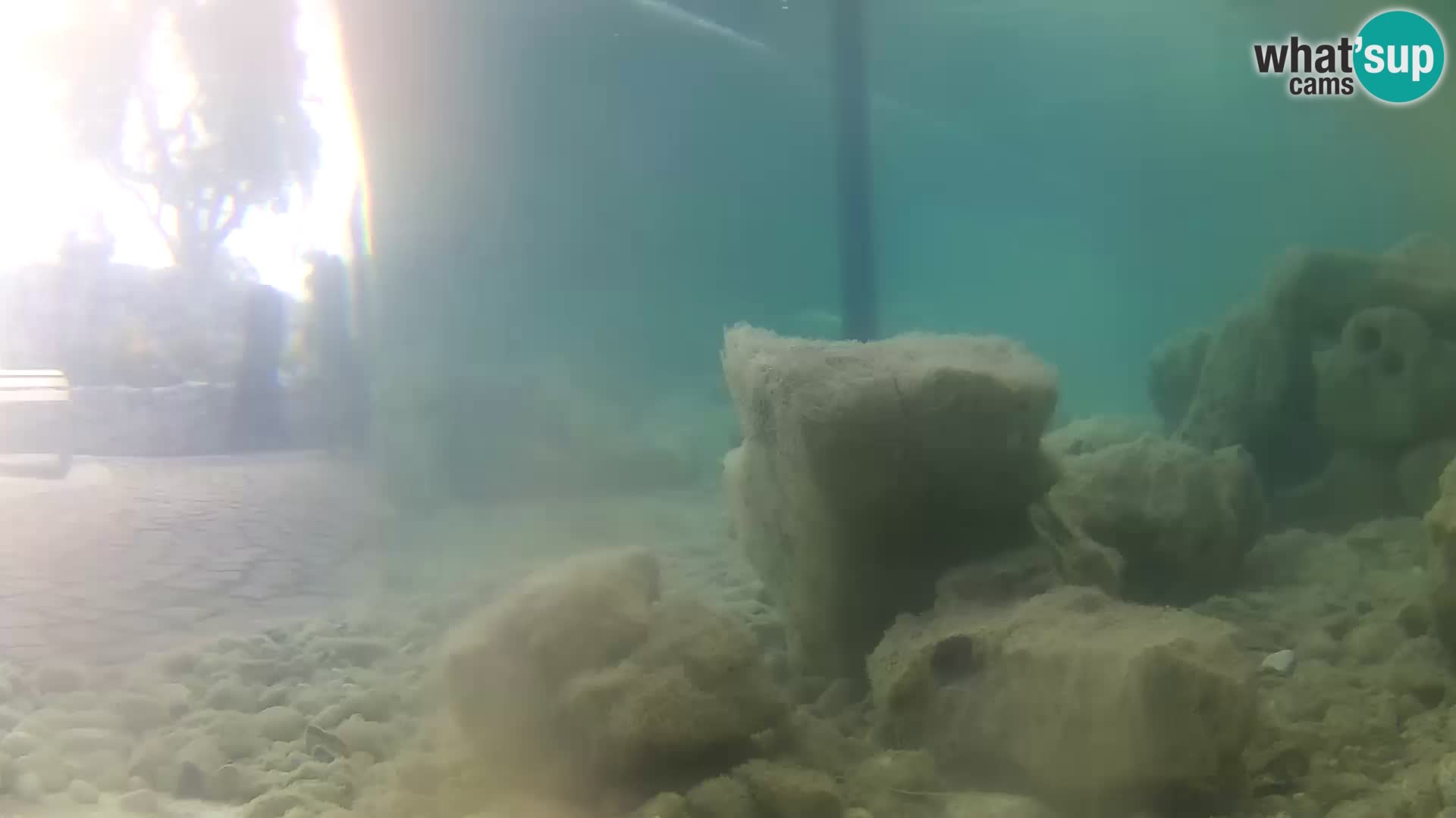 Marine Aquarium im Freien Rogoznica webcam Kroatien