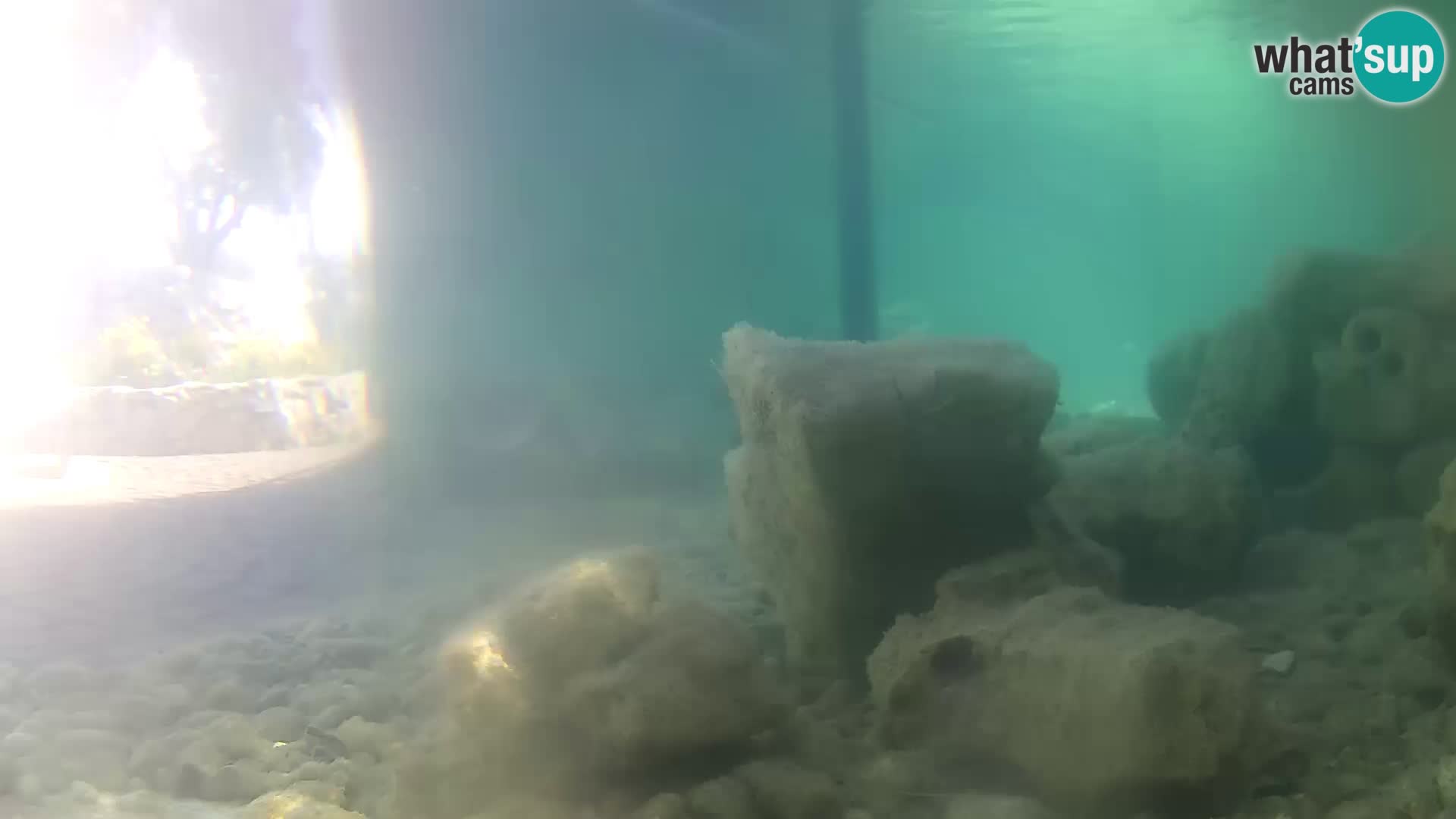 Outdoor Marine Aquarium Rogoznica webcam Croatia