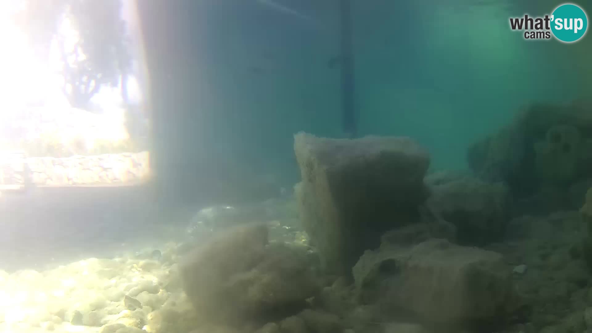 Outdoor Marine Aquarium Rogoznica webcam Croatia