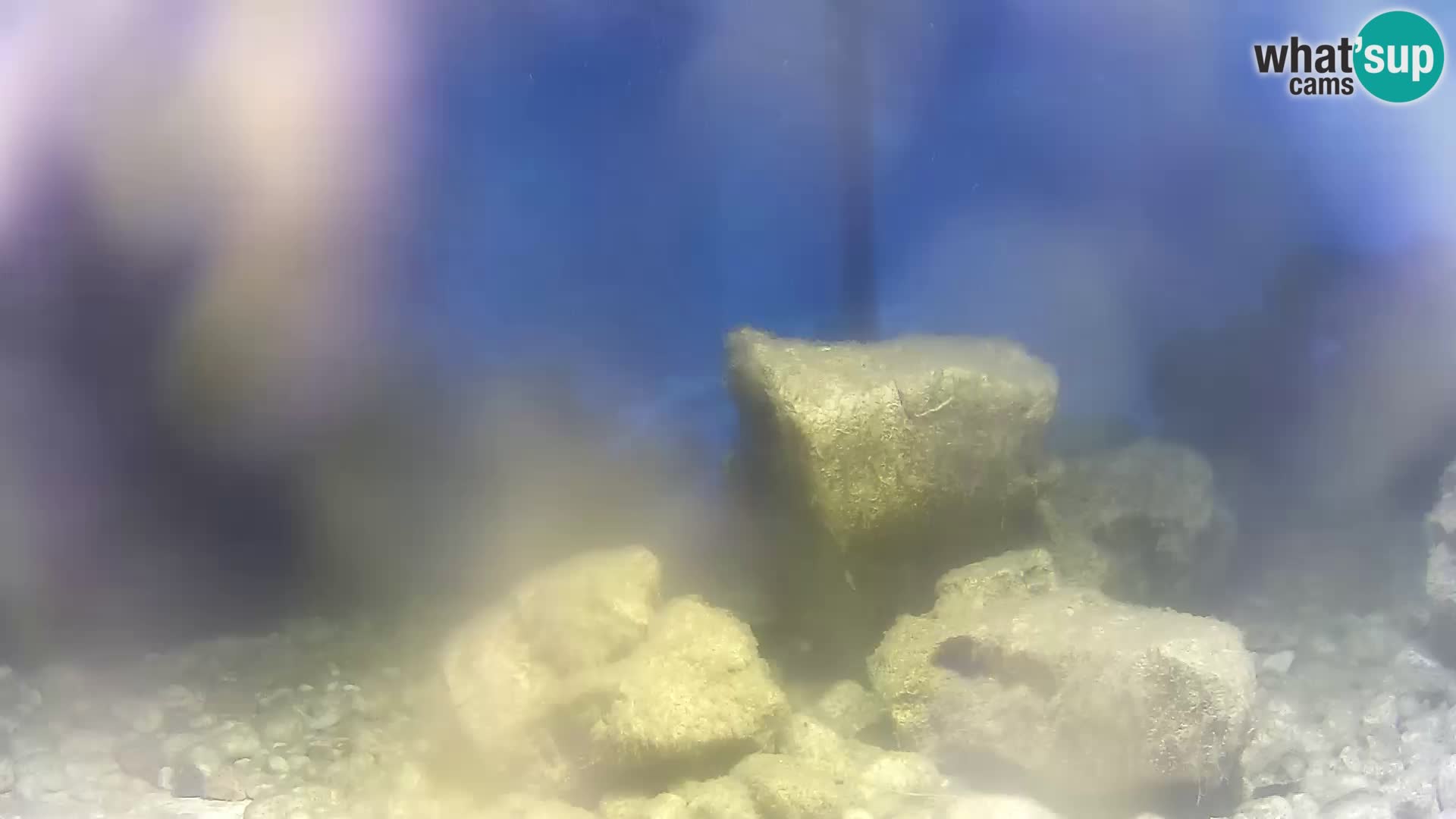 Webcam de l’aquarium marin extérieur de Rogoznica Croatie