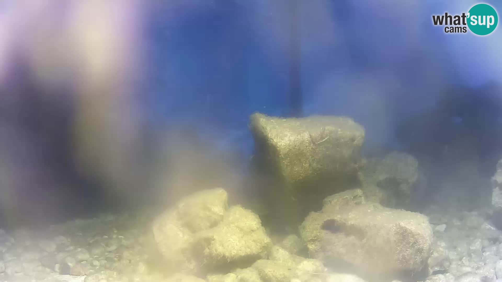 Webcam de l’aquarium marin extérieur de Rogoznica Croatie