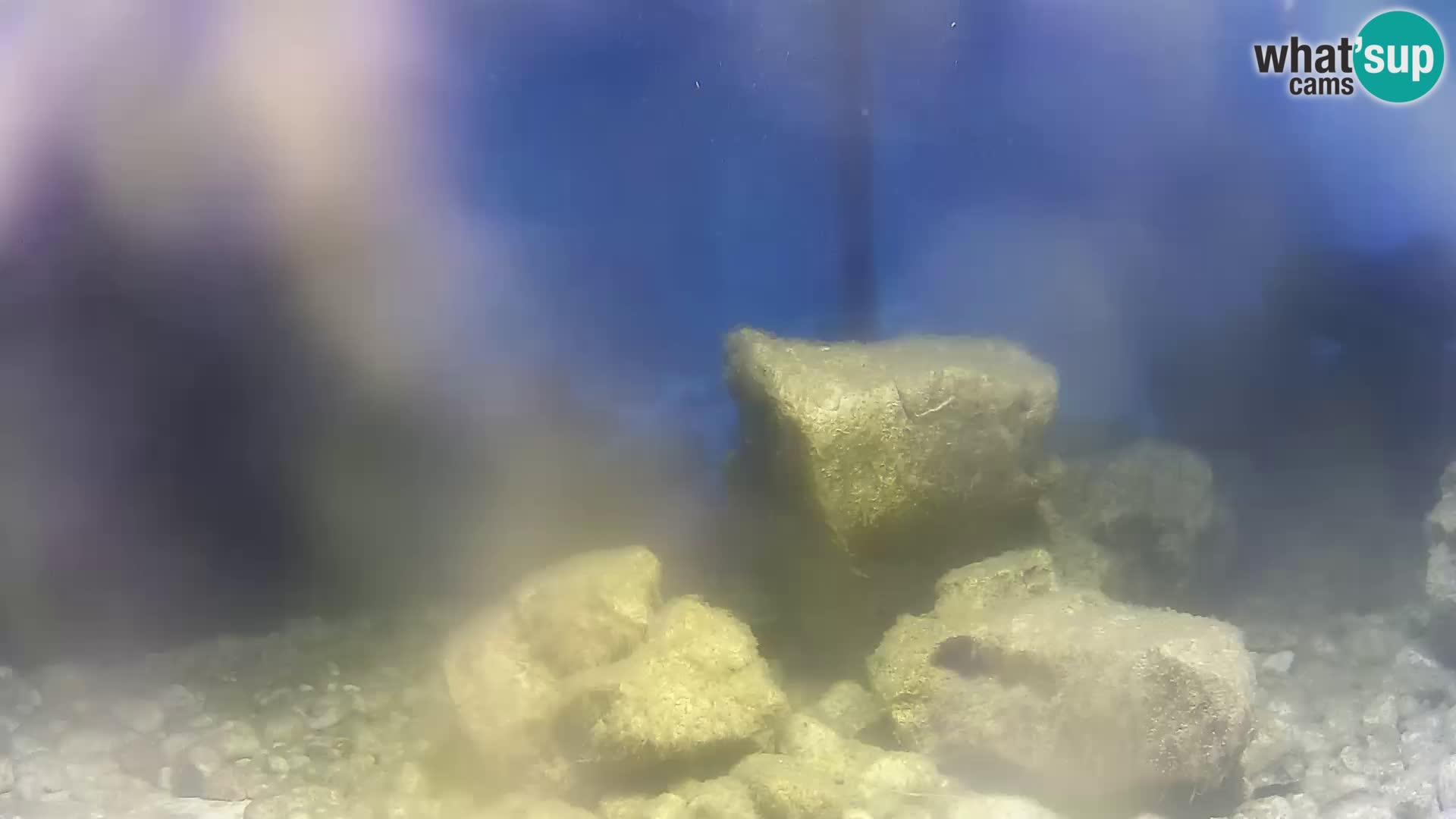 Acuario marino al aire libre Rogoznica webcam Croacia