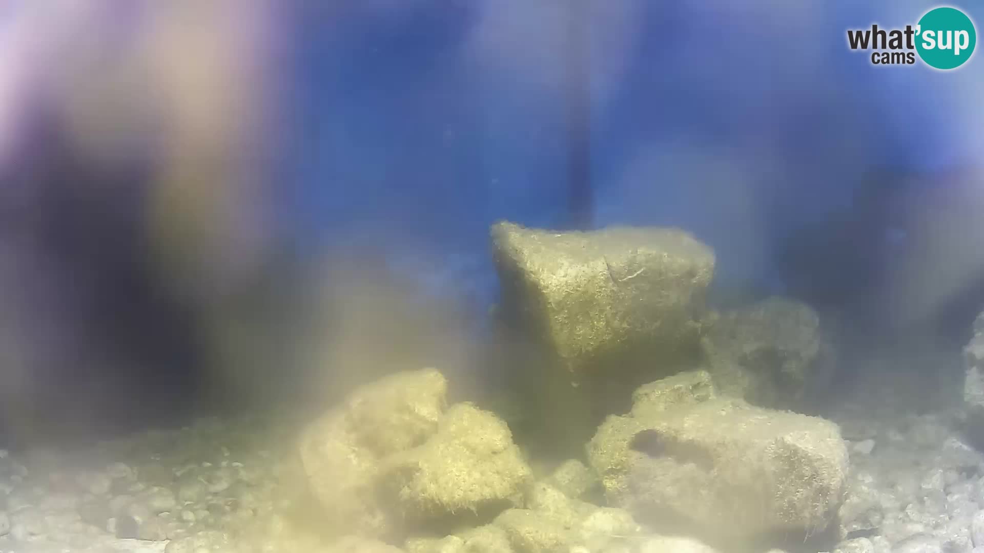 Aquario marino esterno –  Rogoznica livecam Croazia