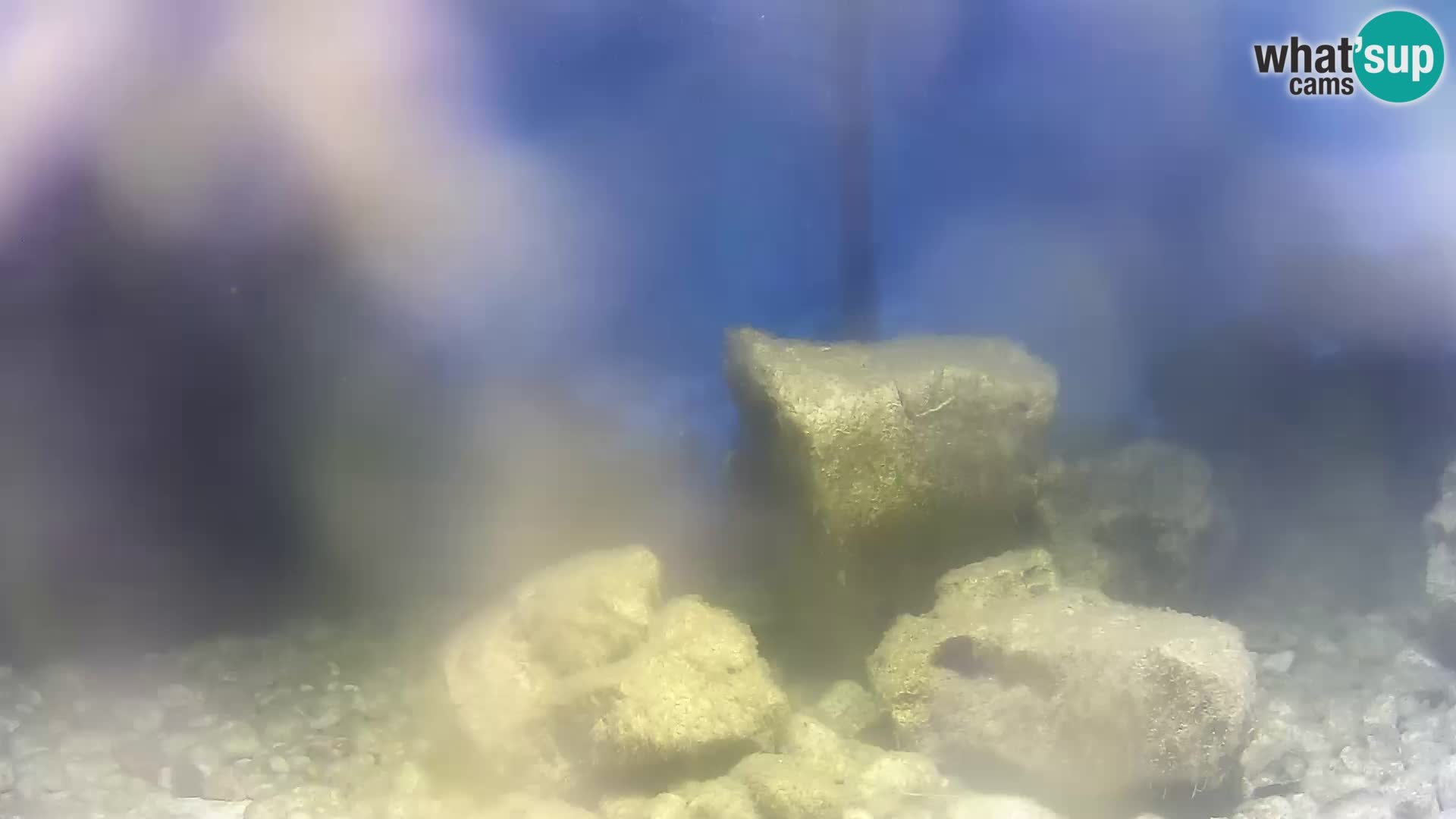 Webcam de l’aquarium marin extérieur de Rogoznica Croatie