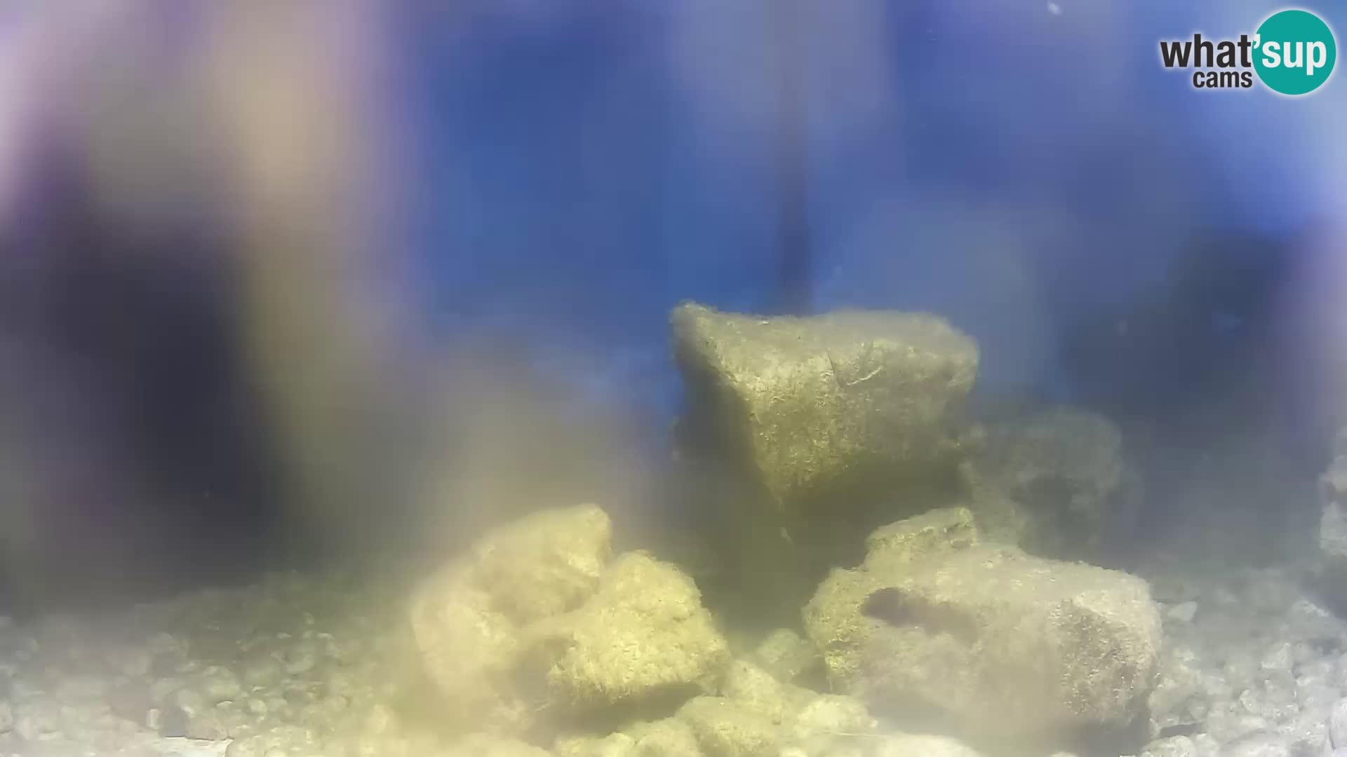 Aquario marino esterno –  Rogoznica livecam Croazia