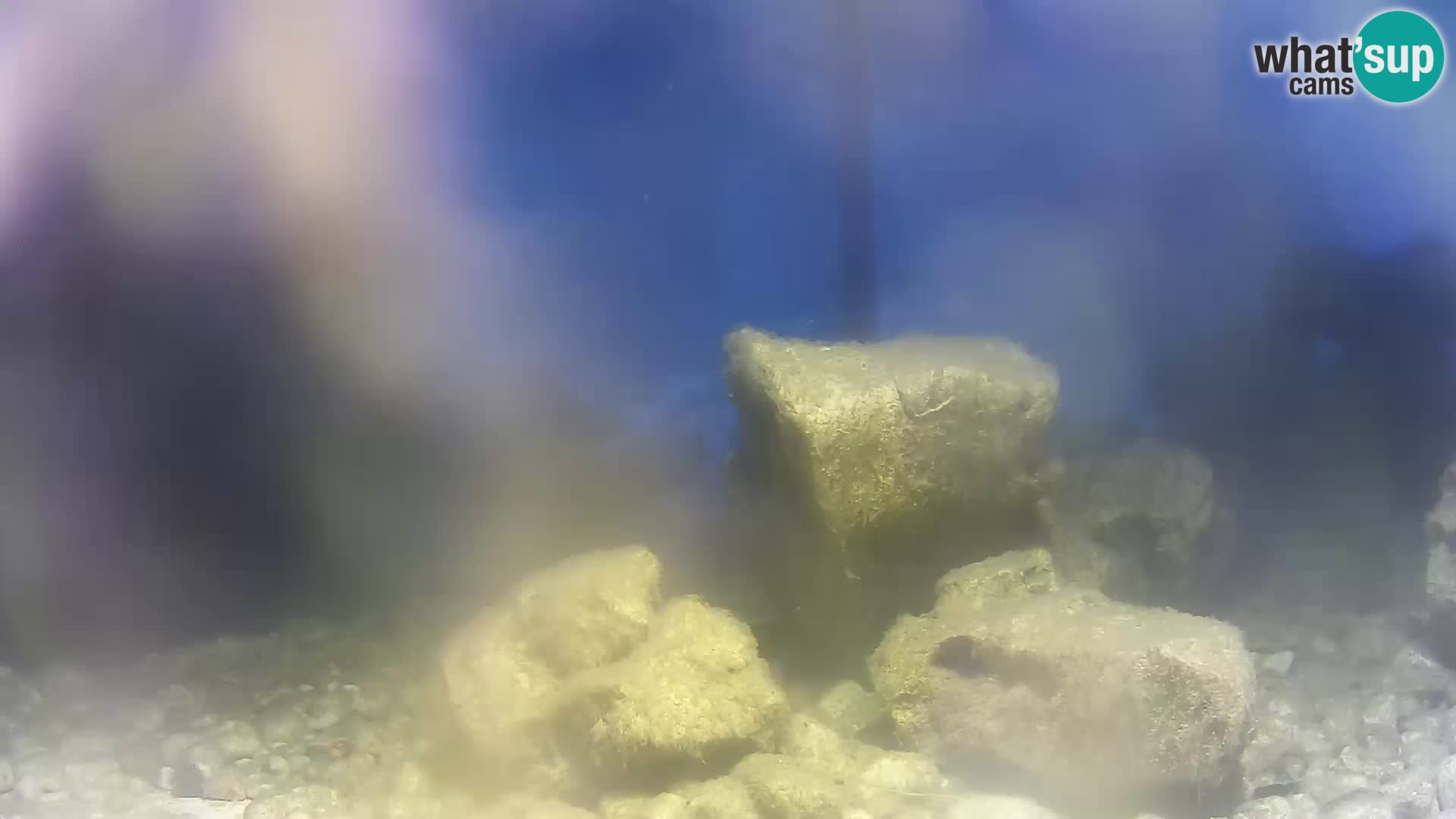 Webcam de l’aquarium marin extérieur de Rogoznica Croatie