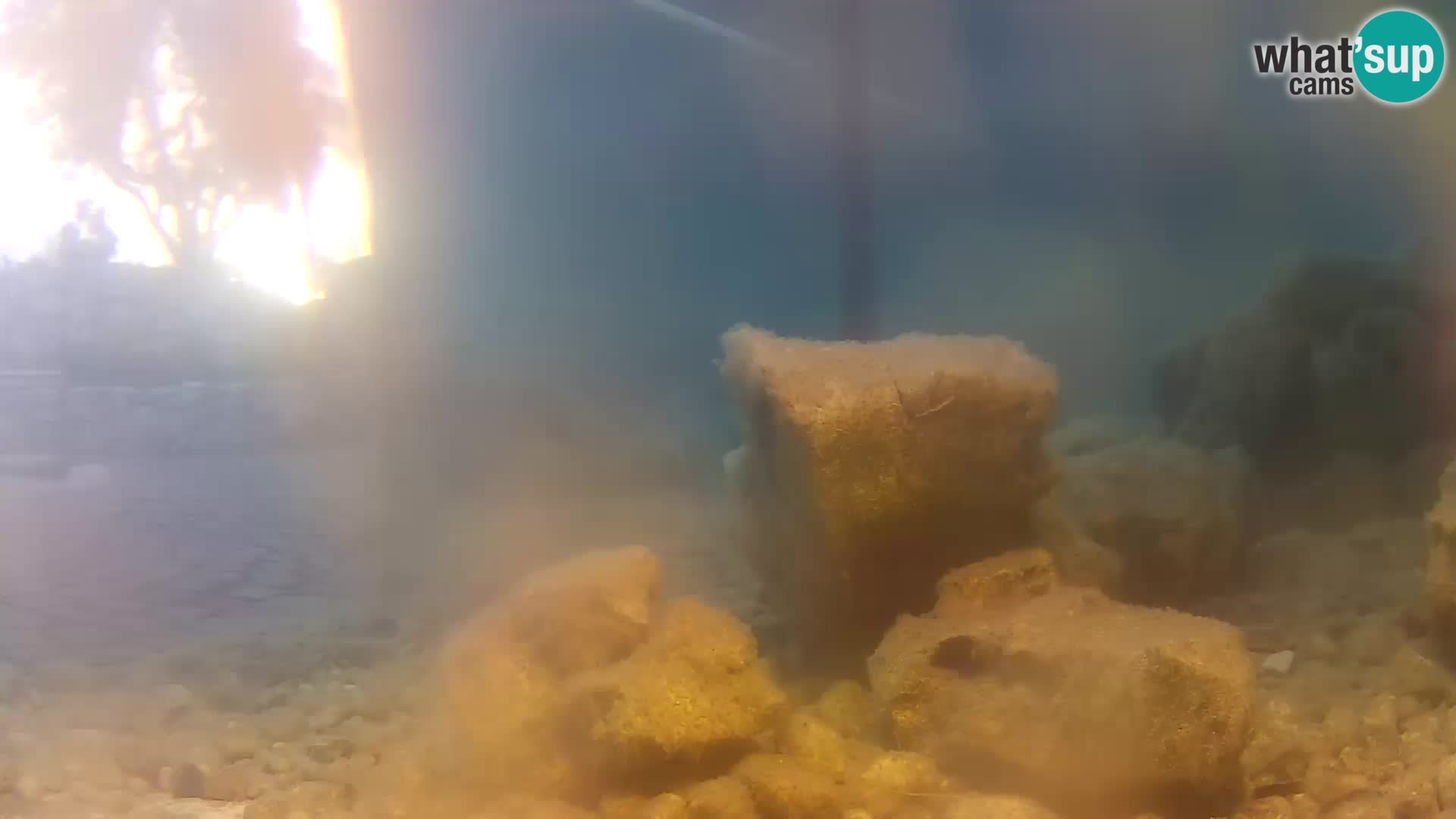 Webcam de l’aquarium marin extérieur de Rogoznica Croatie