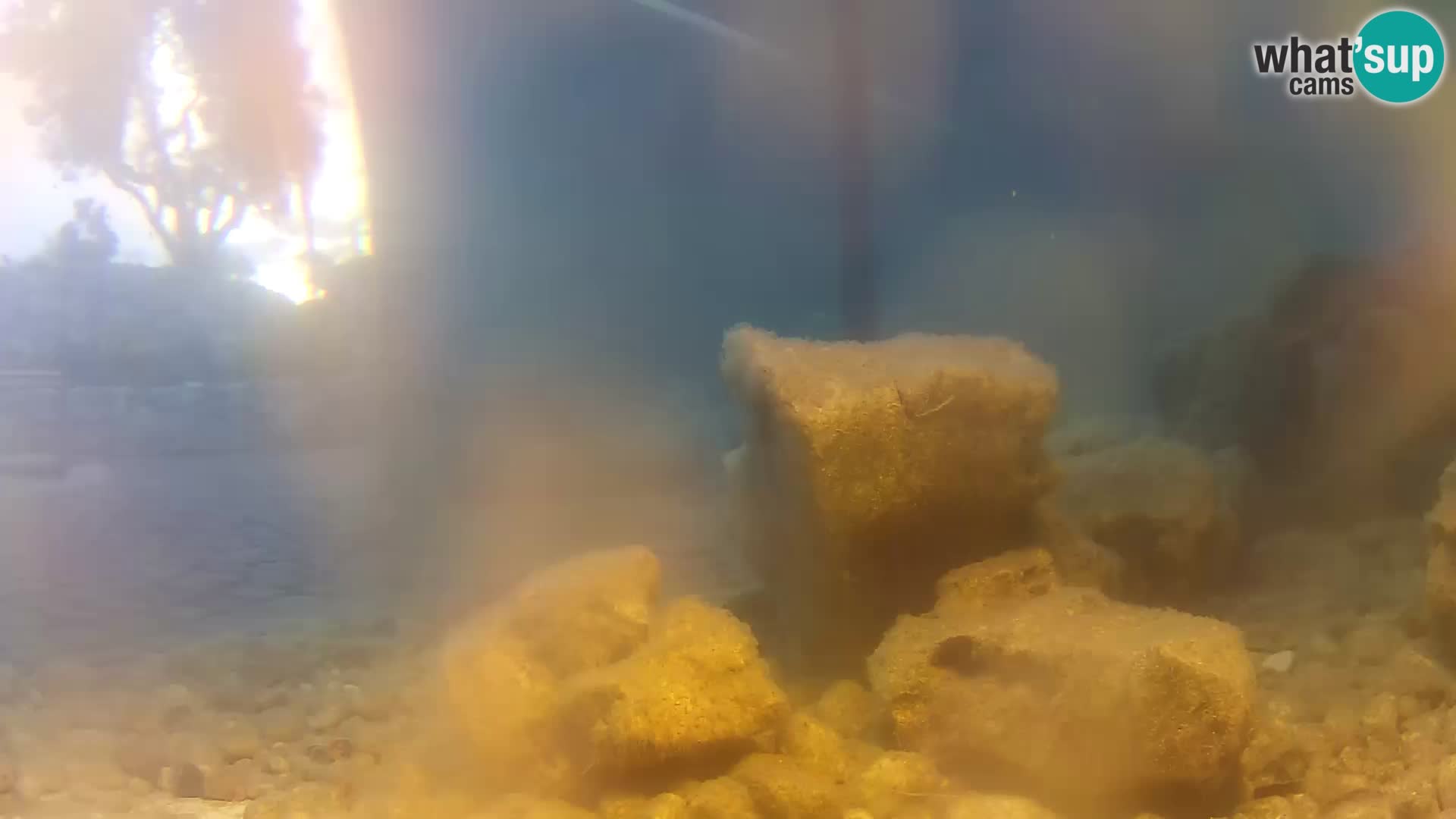 Outdoor Marine Aquarium Rogoznica webcam Croatia