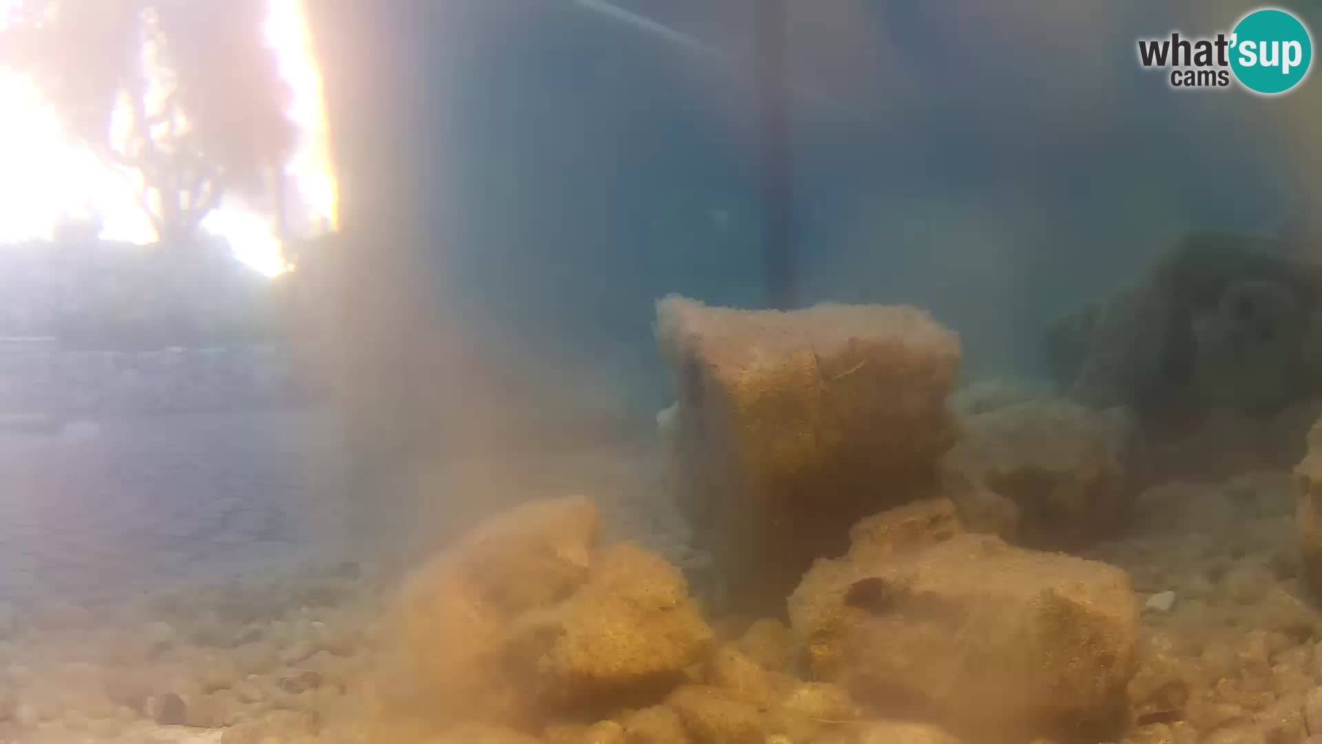 Aquario marino esterno –  Rogoznica livecam Croazia