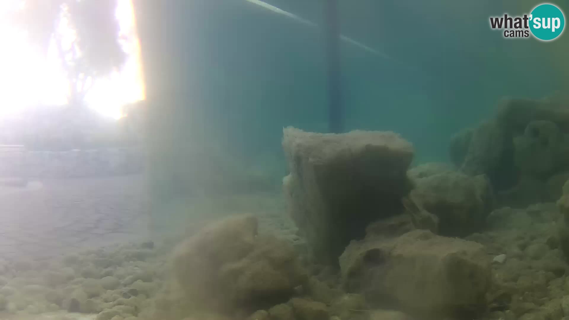 Outdoor Marine Aquarium Rogoznica webcam Croatia