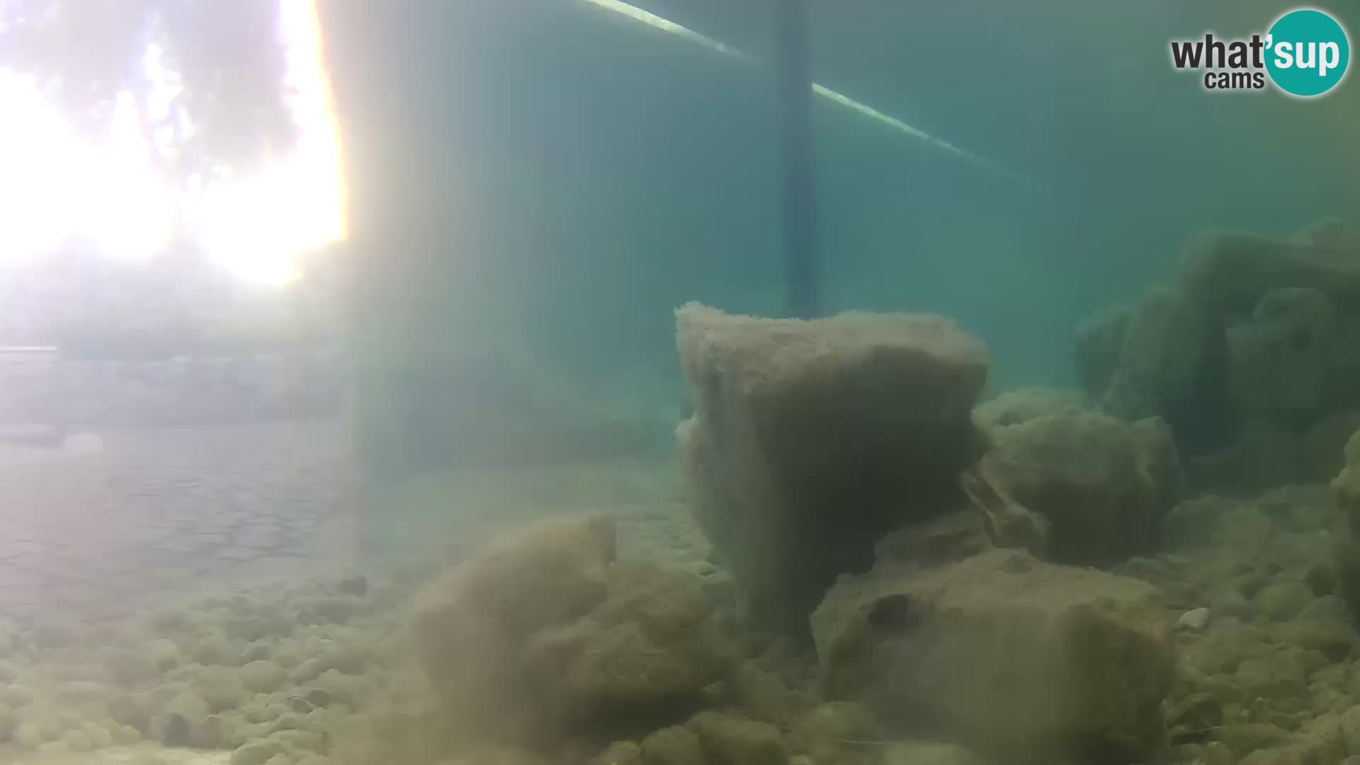 Webcam de l’aquarium marin extérieur de Rogoznica Croatie