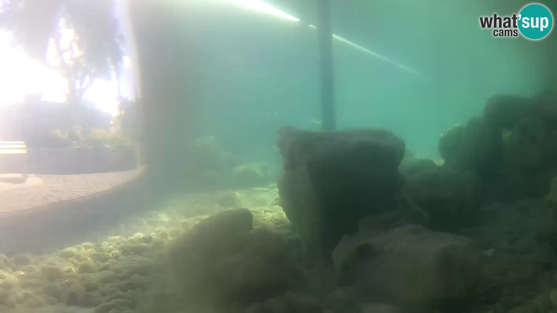 Outdoor Marine Aquarium Rogoznica webcam Croatia