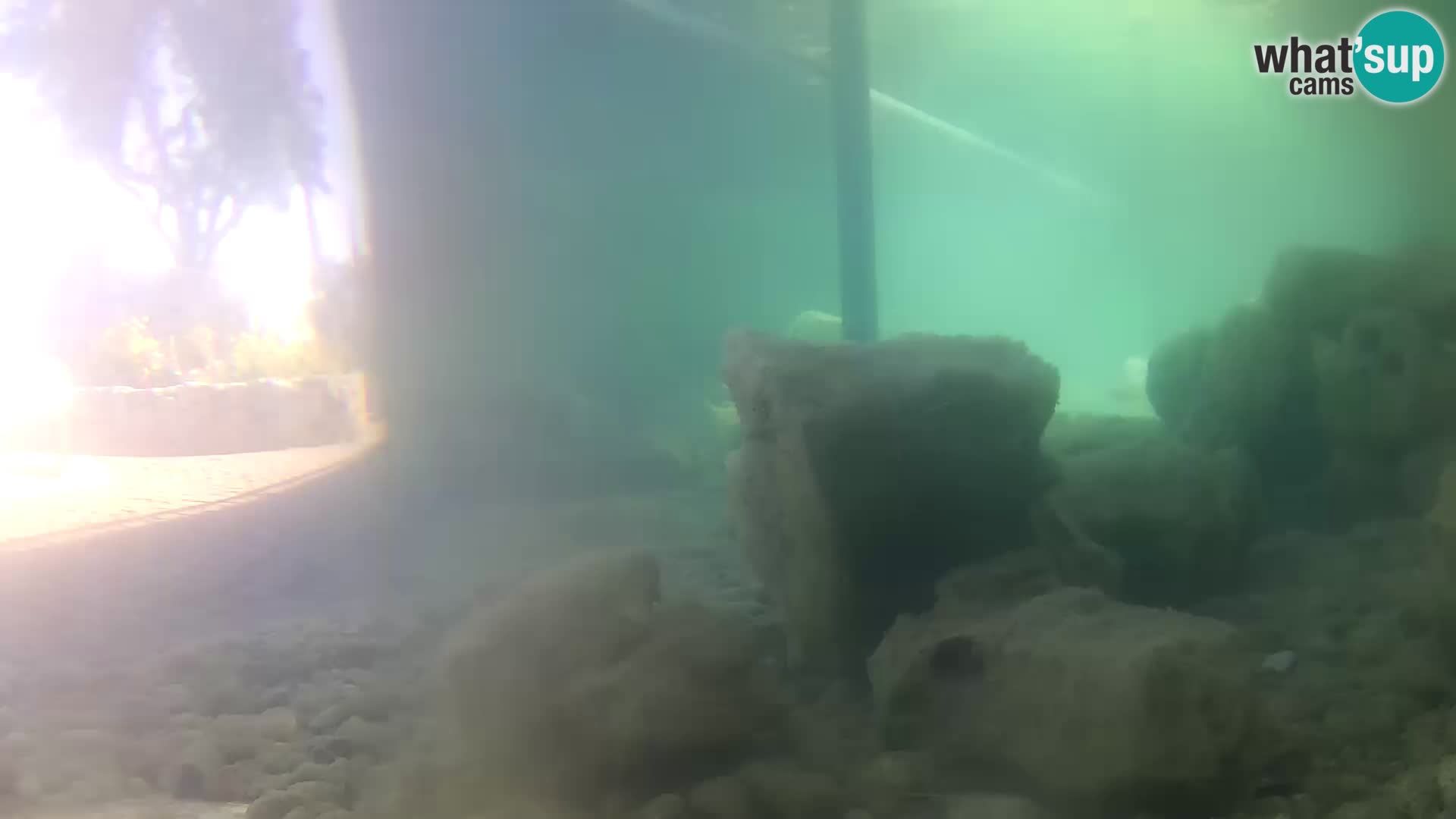 Acuario marino al aire libre Rogoznica webcam Croacia