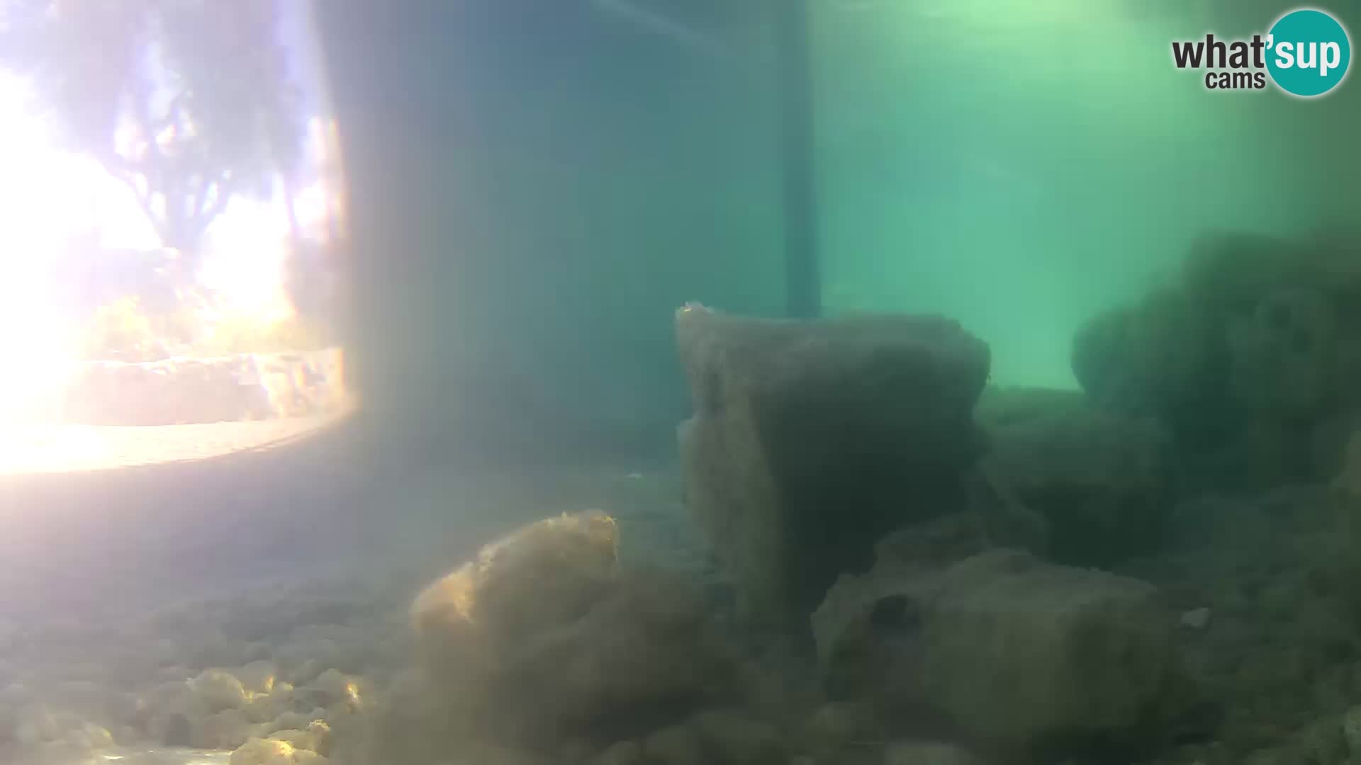 Webcam de l’aquarium marin extérieur de Rogoznica Croatie