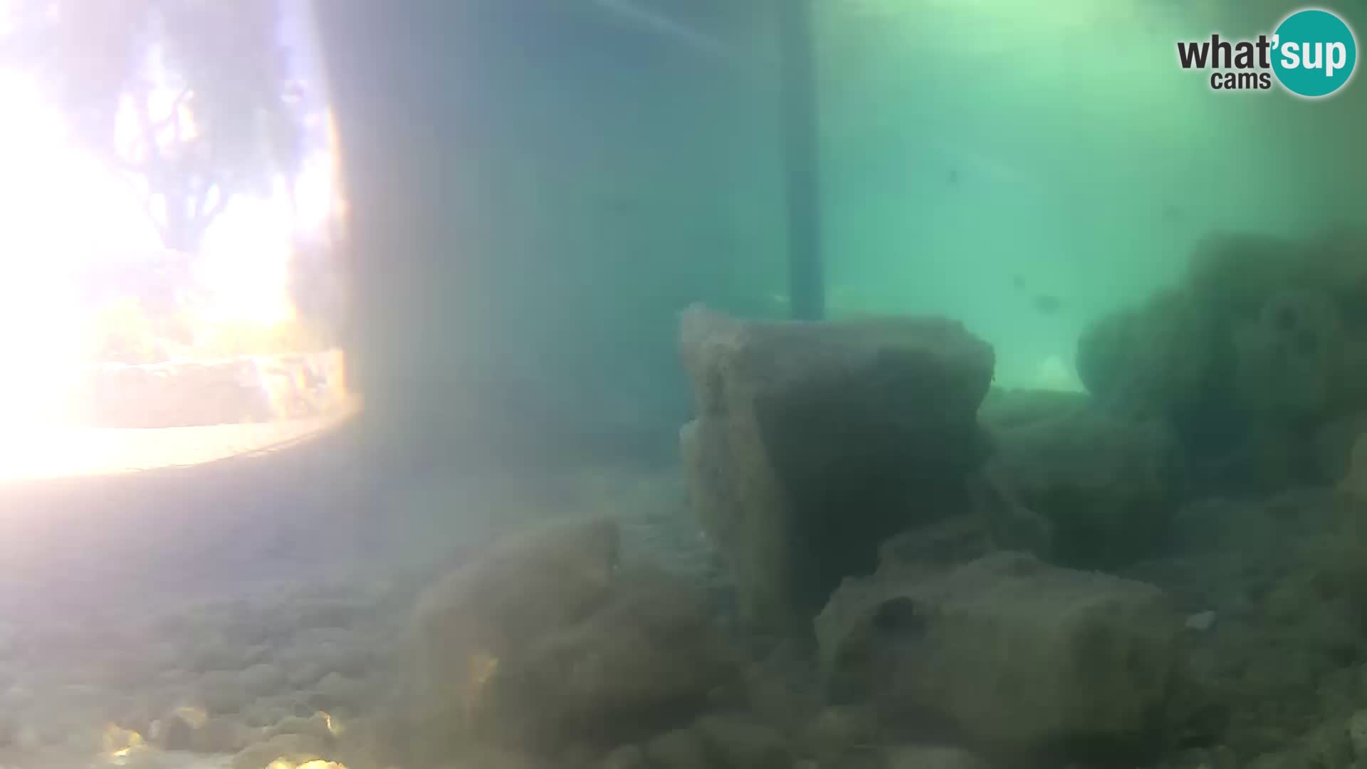 Webcam de l’aquarium marin extérieur de Rogoznica Croatie