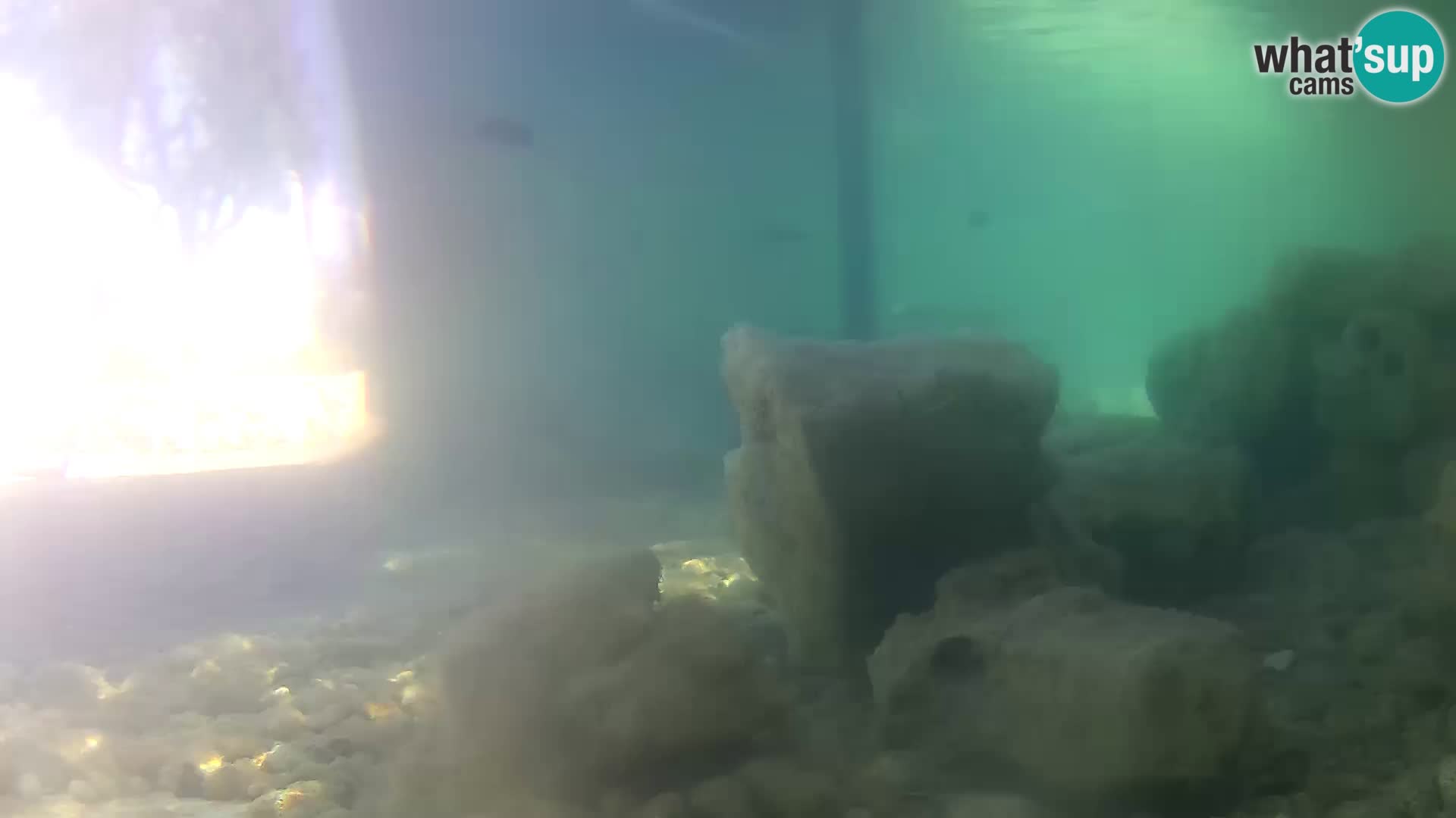 Acuario marino al aire libre Rogoznica webcam Croacia