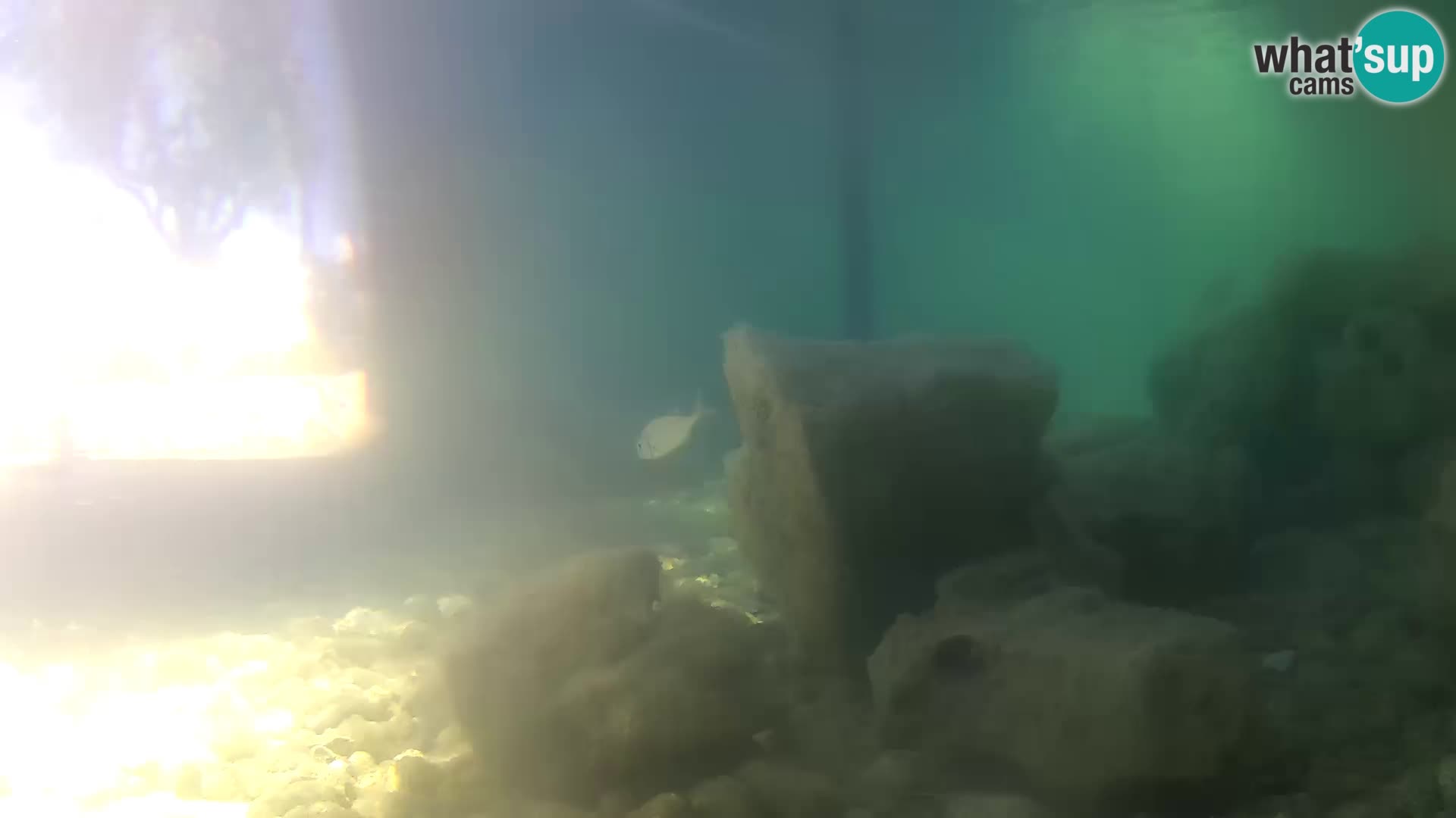 Outdoor Marine Aquarium Rogoznica webcam Croatia