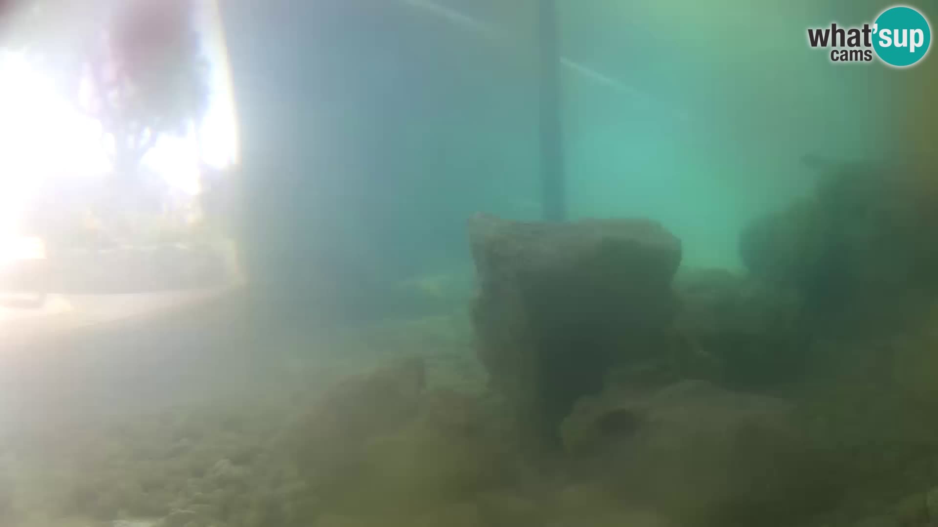 Outdoor Marine Aquarium Rogoznica webcam Croatia