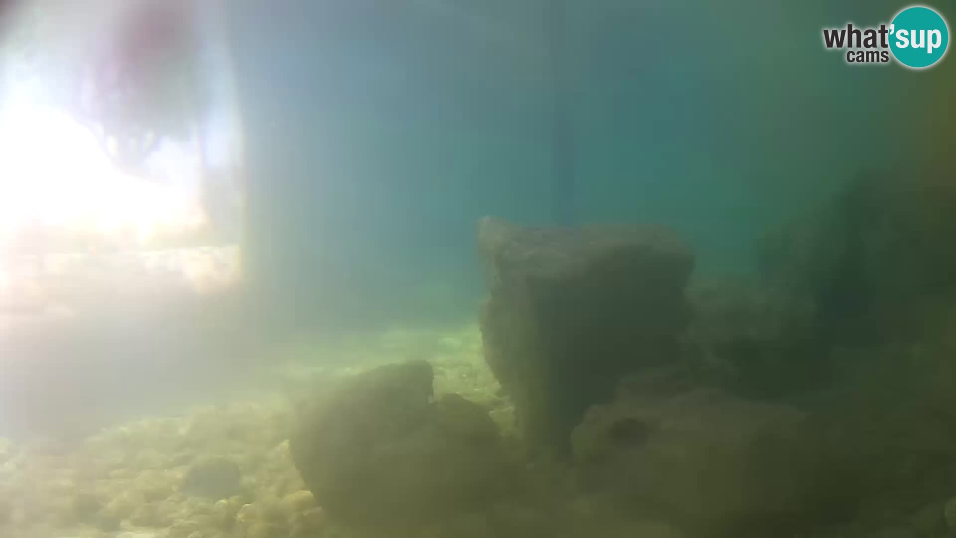 Acuario marino al aire libre Rogoznica webcam Croacia