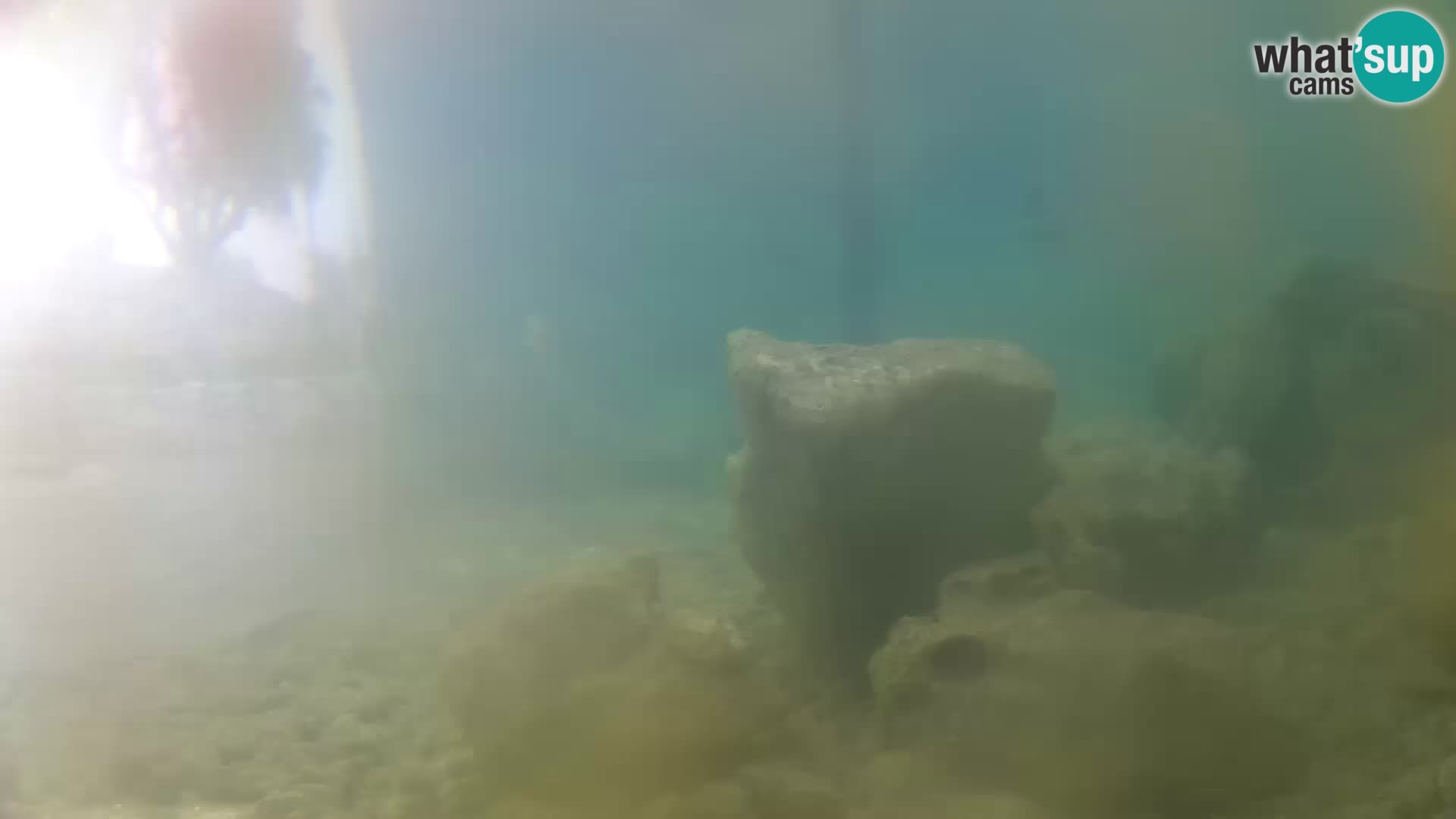 Marine Aquarium im Freien Rogoznica webcam Kroatien