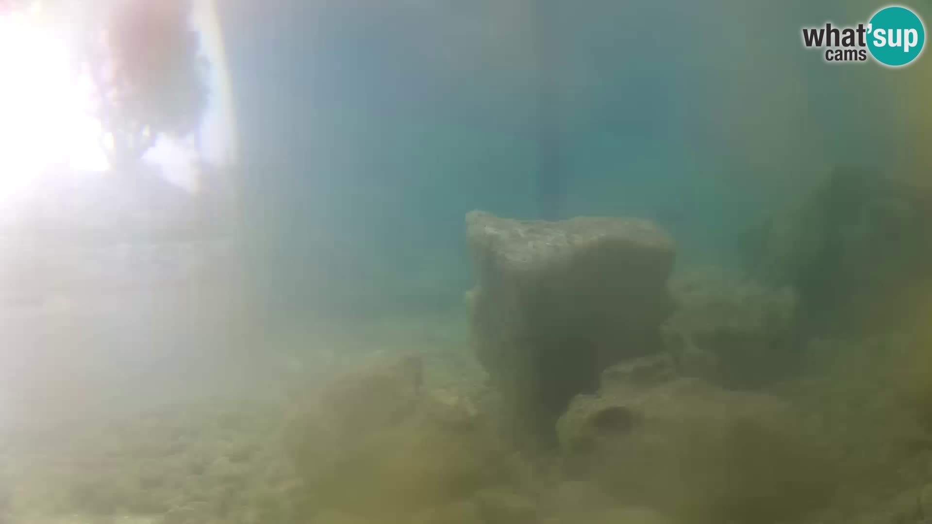 Aquario marino esterno –  Rogoznica livecam Croazia