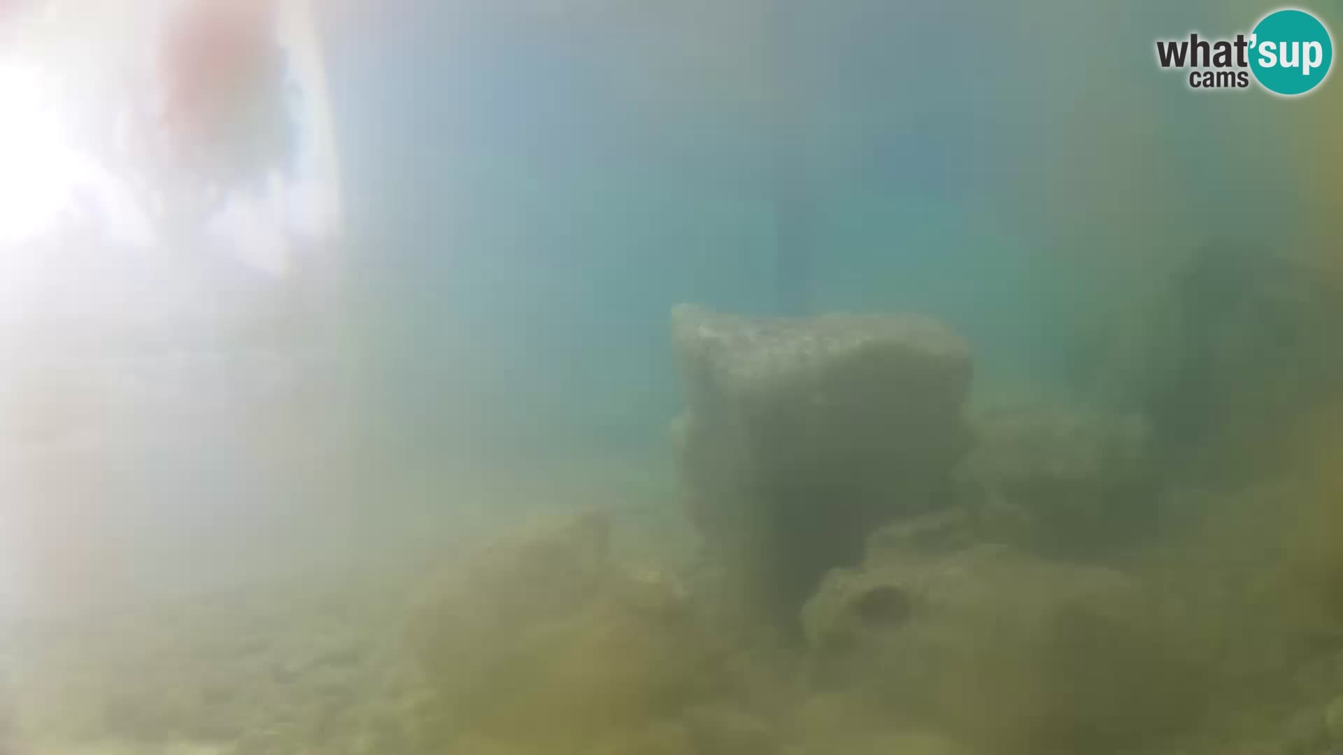 Marine Aquarium im Freien Rogoznica webcam Kroatien