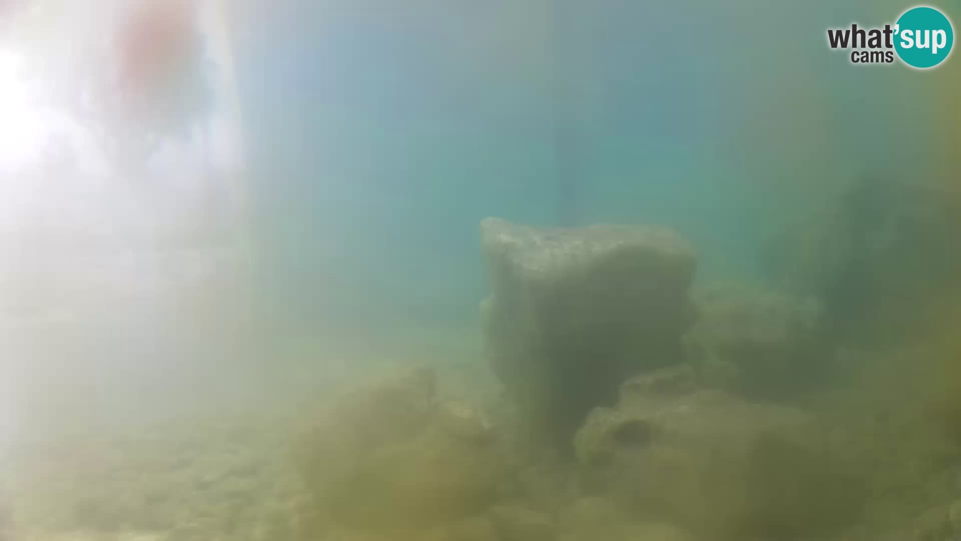 Webcam de l’aquarium marin extérieur de Rogoznica Croatie